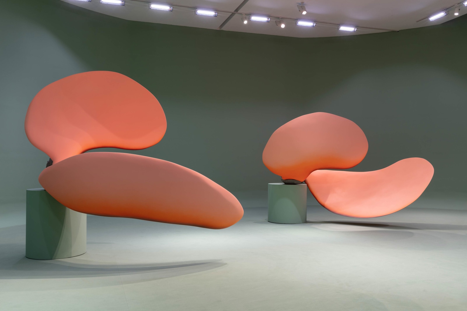 Teresa Solar Abboud: Bird Dream Machine, Installation view