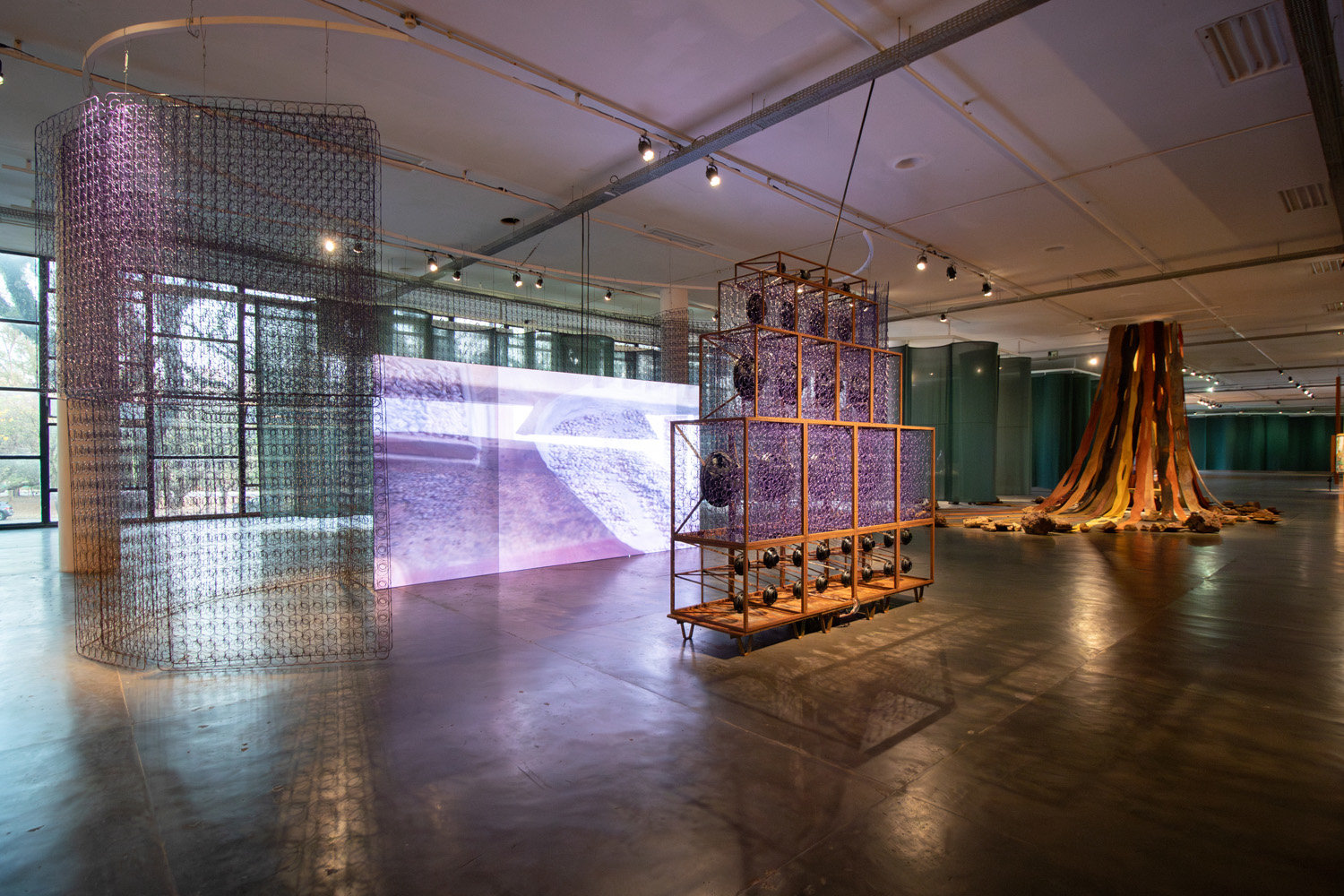 NARI WARD, Installation view