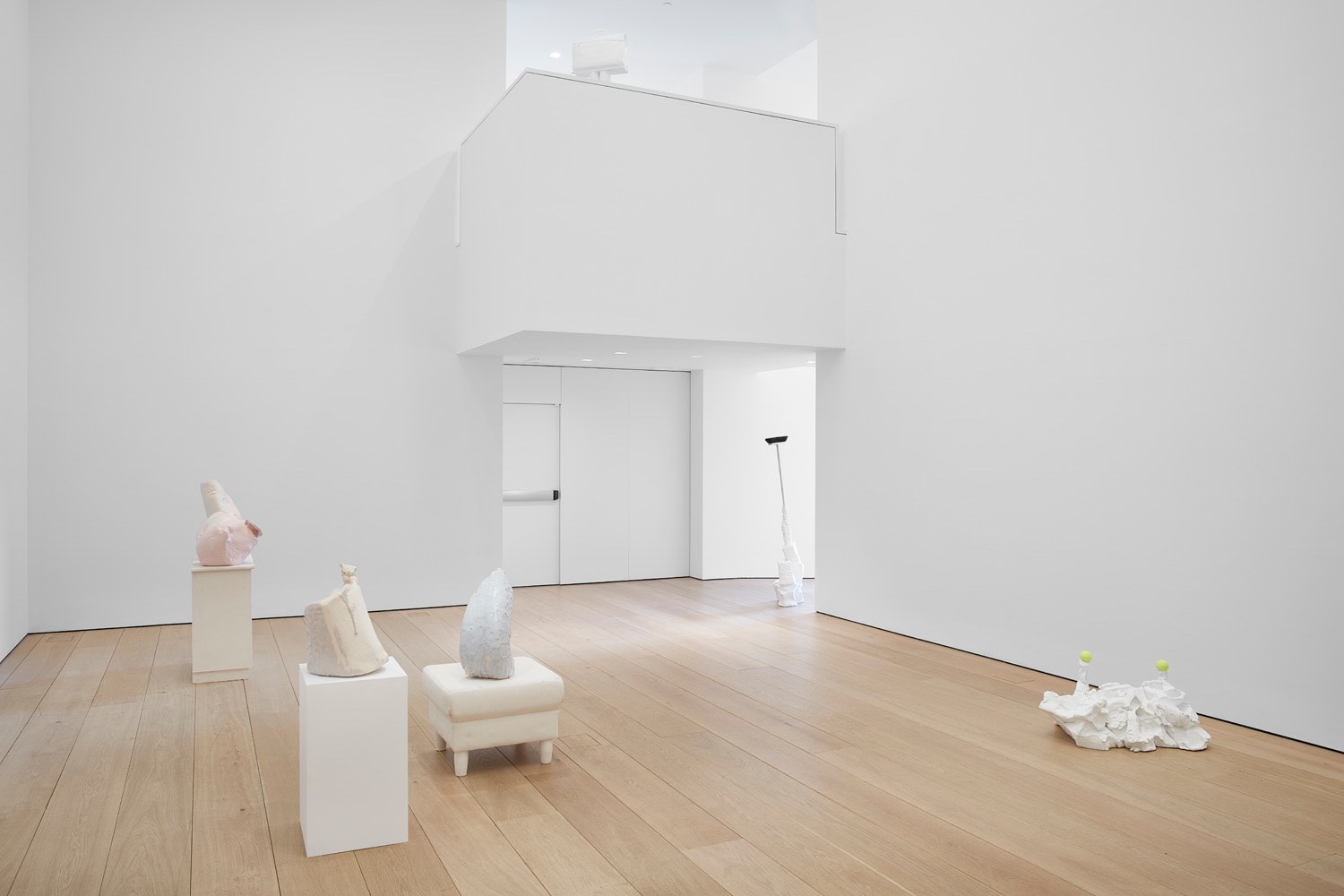 Installation view of Erwin Wurm's exhibition Yes Biological at Lehmann Maupin, New York, 2020, View 2