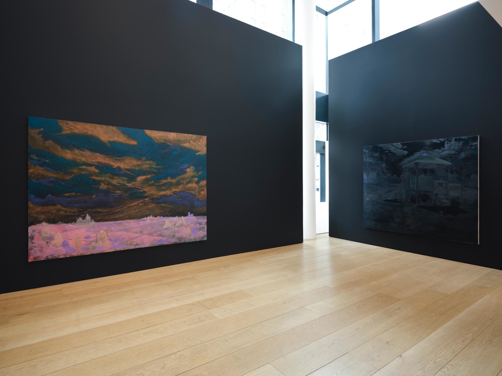 Dominic Chambers:&nbsp;Leave Room for the Wind, Installation View