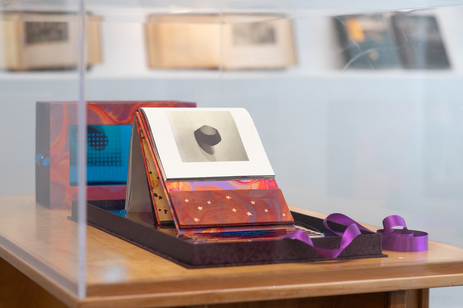 A Comedy for Mortals: Artists Books of Tammy Nguyen, Installation view