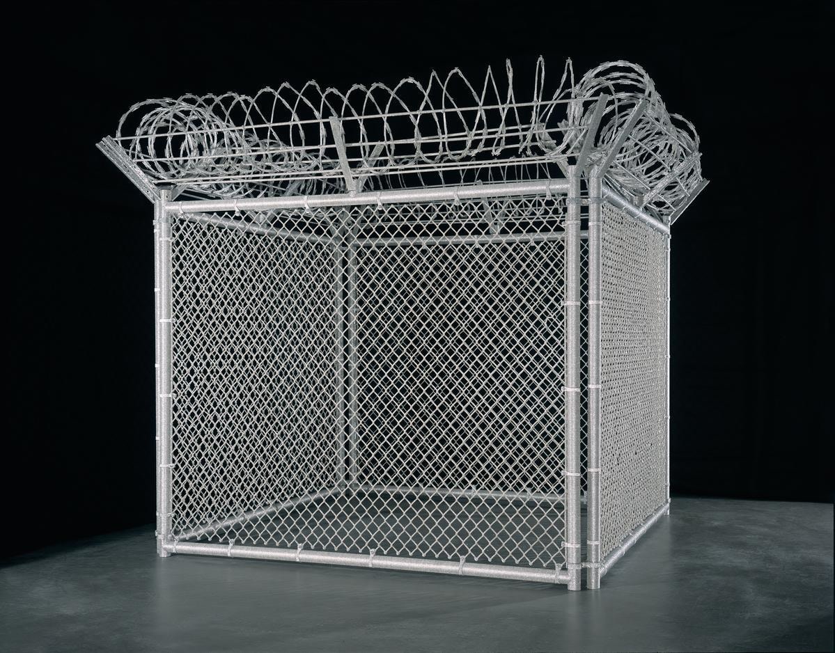 麗莎&middot;露 Security Fence, 2005