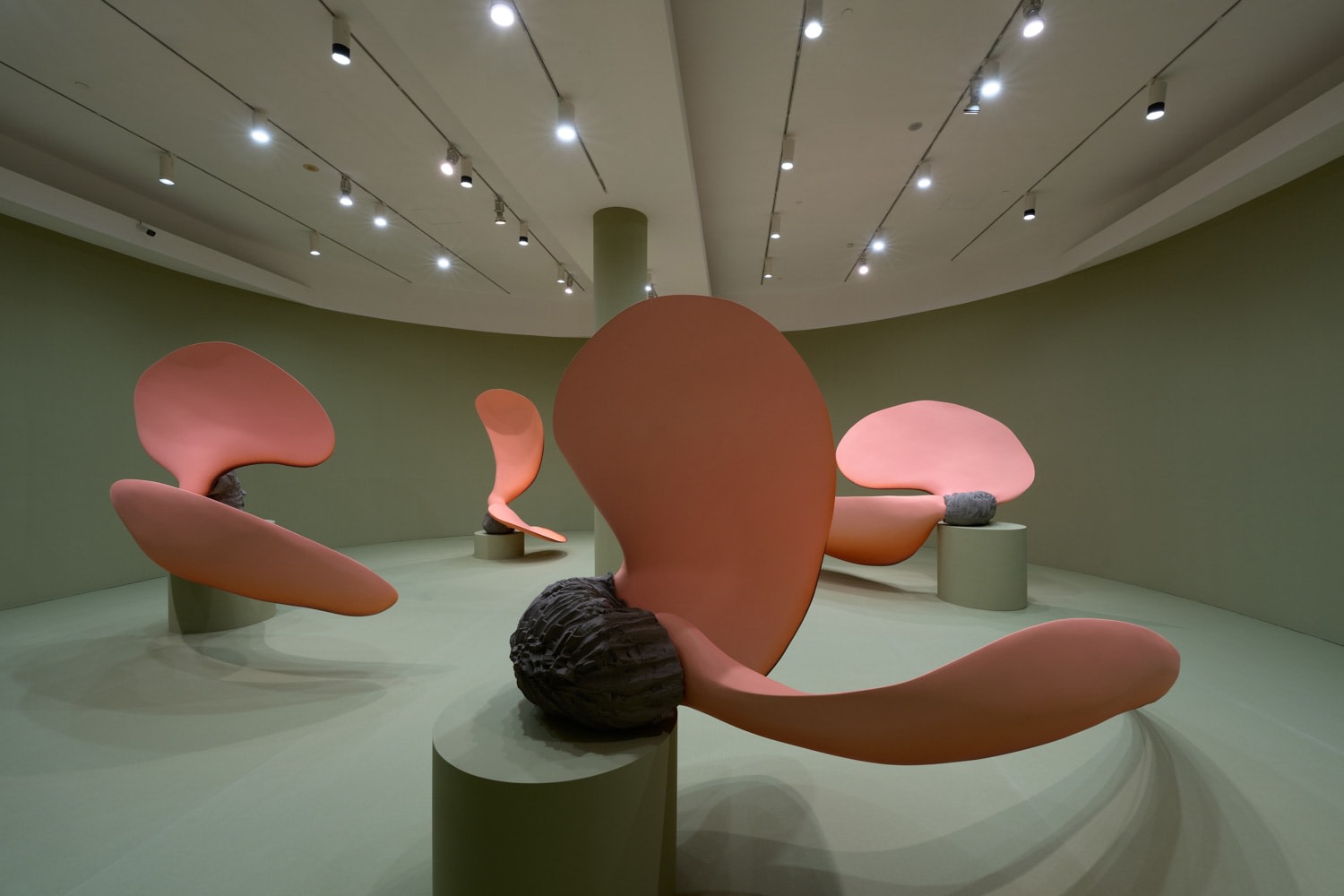 Teresa Solar Abboud: Bird Machine Dream, Installation view