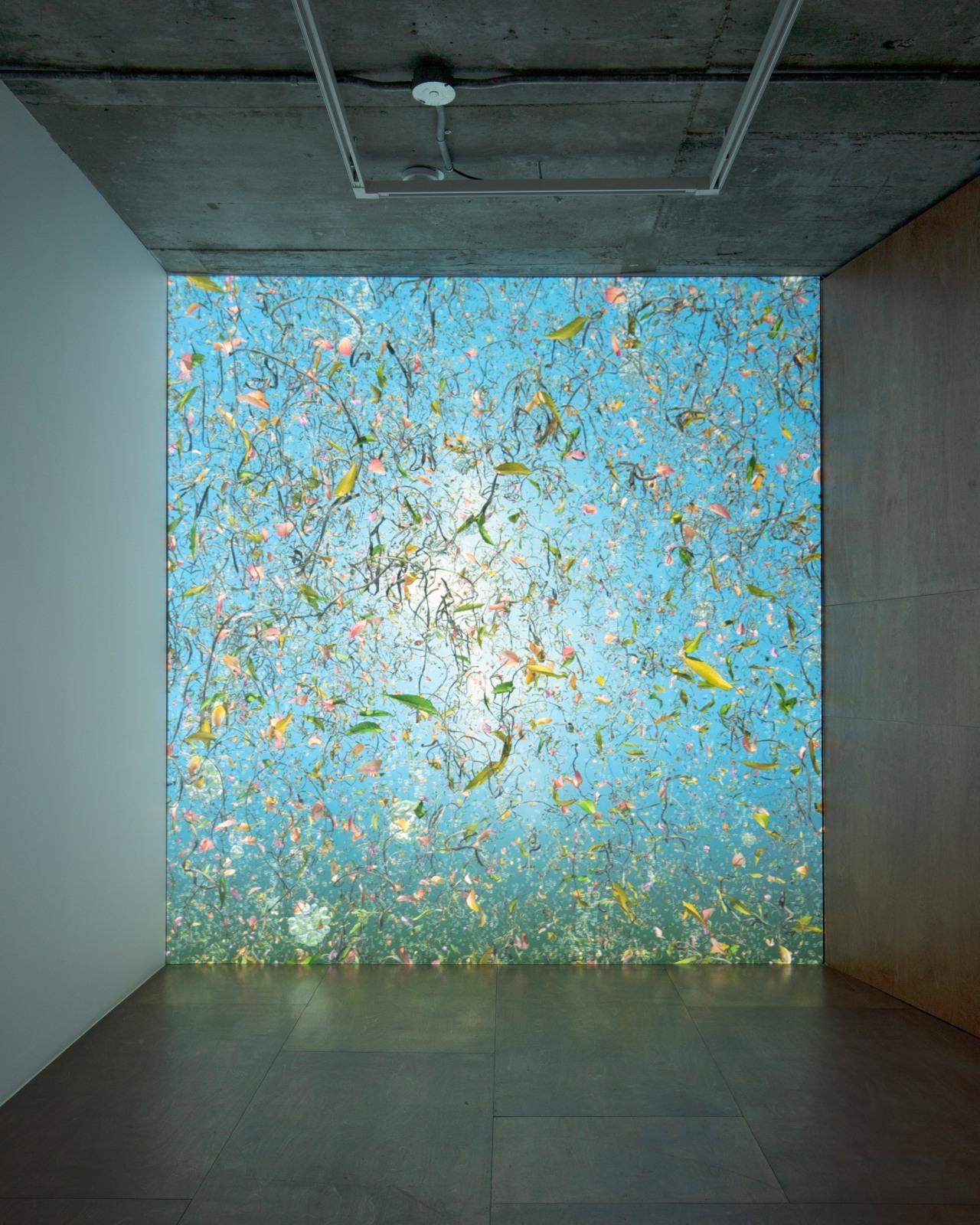 Jennifer Steinkamp,&nbsp;Souls, Installation view, Lehmann Maupin, Seoul, 2020