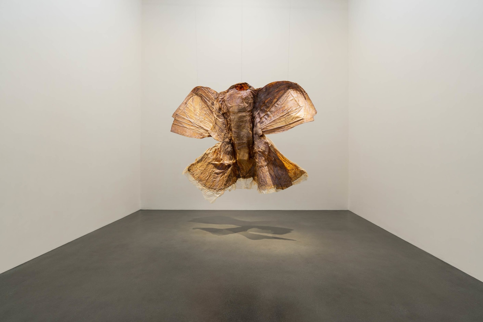 Heidi Bucher: Metamorphoses II, Installation View