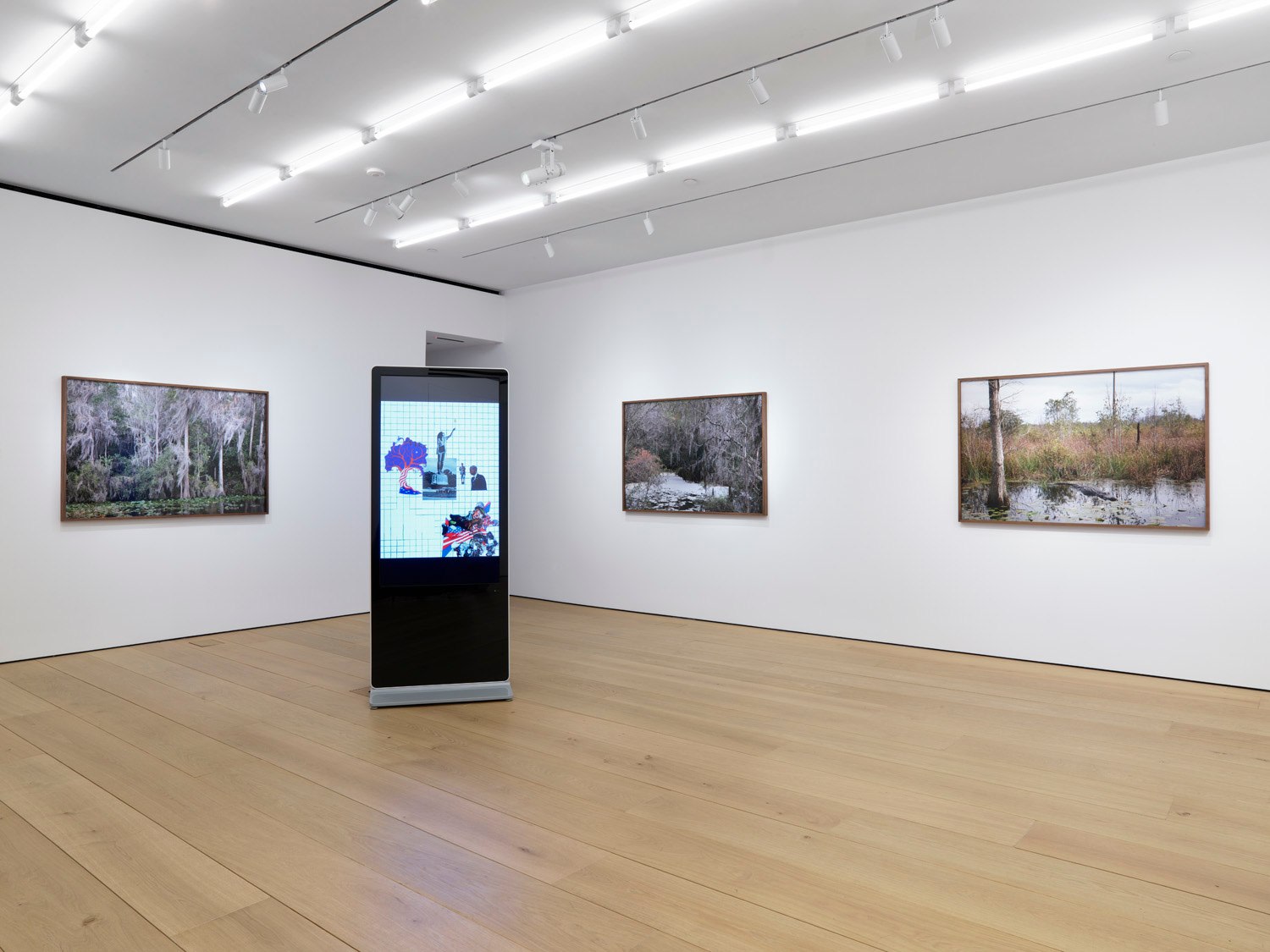 Fifth installation view of the exhibition Catherine Opie: Rhetorical Landscapes at Lehmann Maupin New York