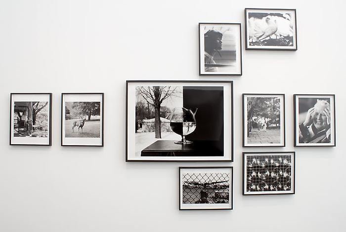 YUL, Yul Brynner: A Photographic Journey Installation View 4