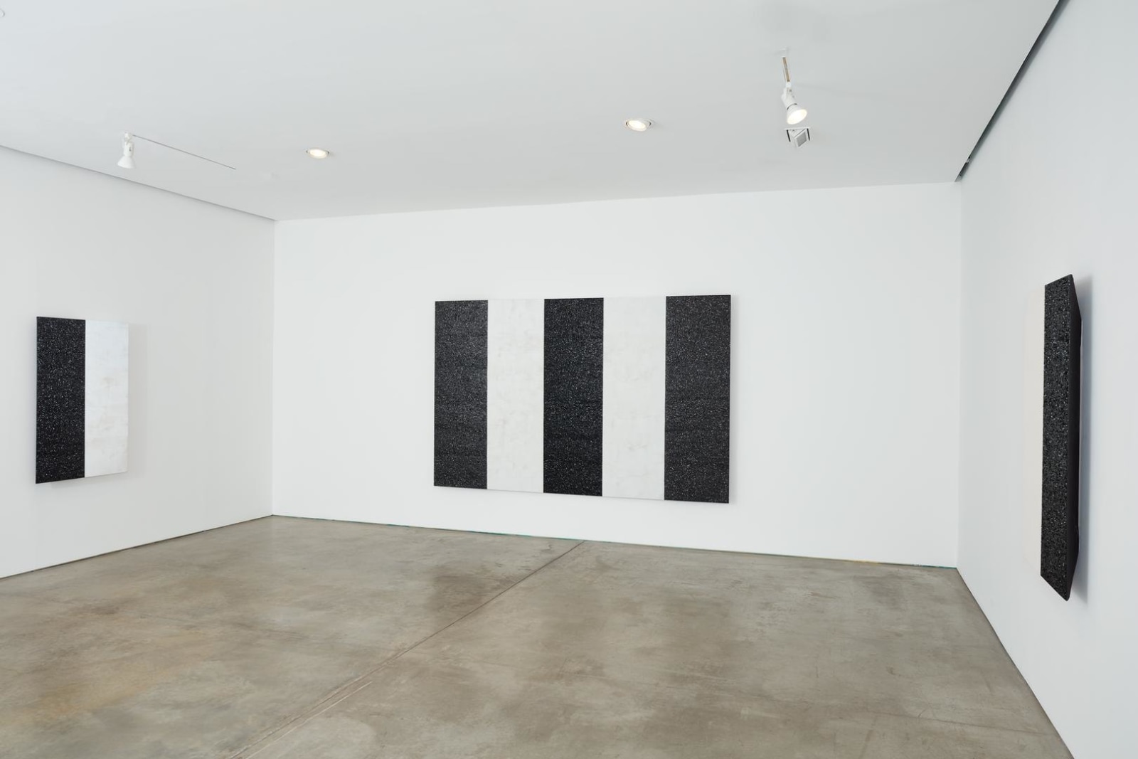 MARY CORSE Installation view 2
