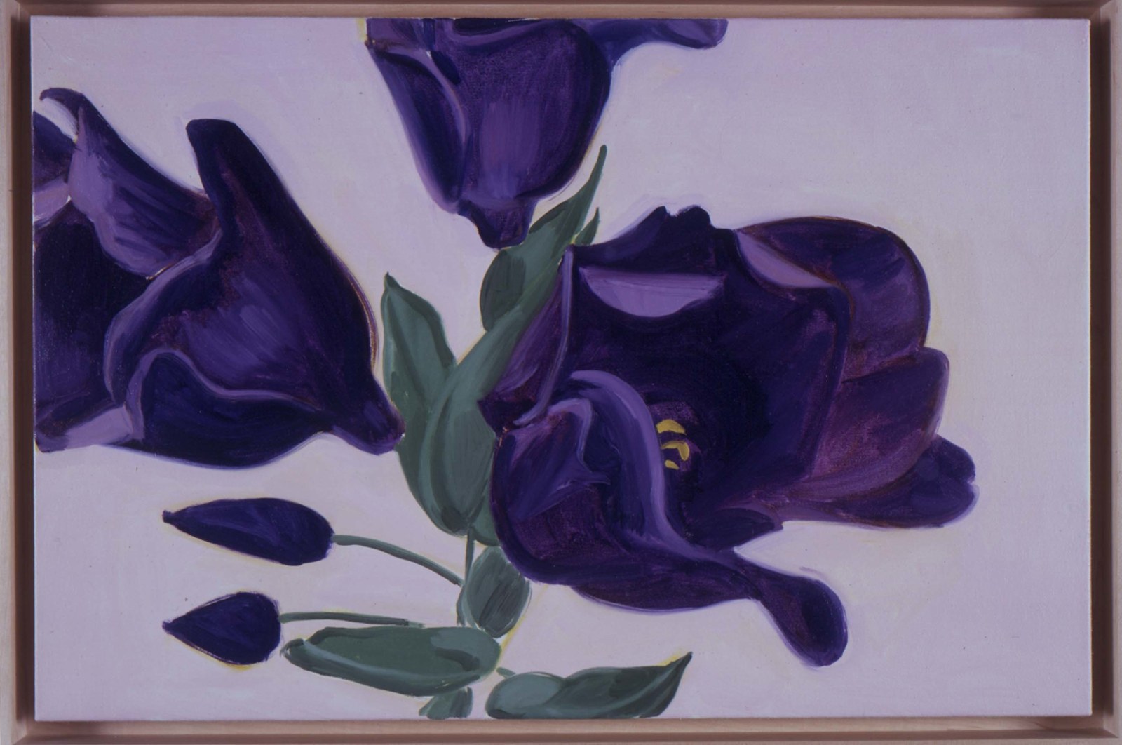 DAVID SALLE, Lisianthus Purple, 2002