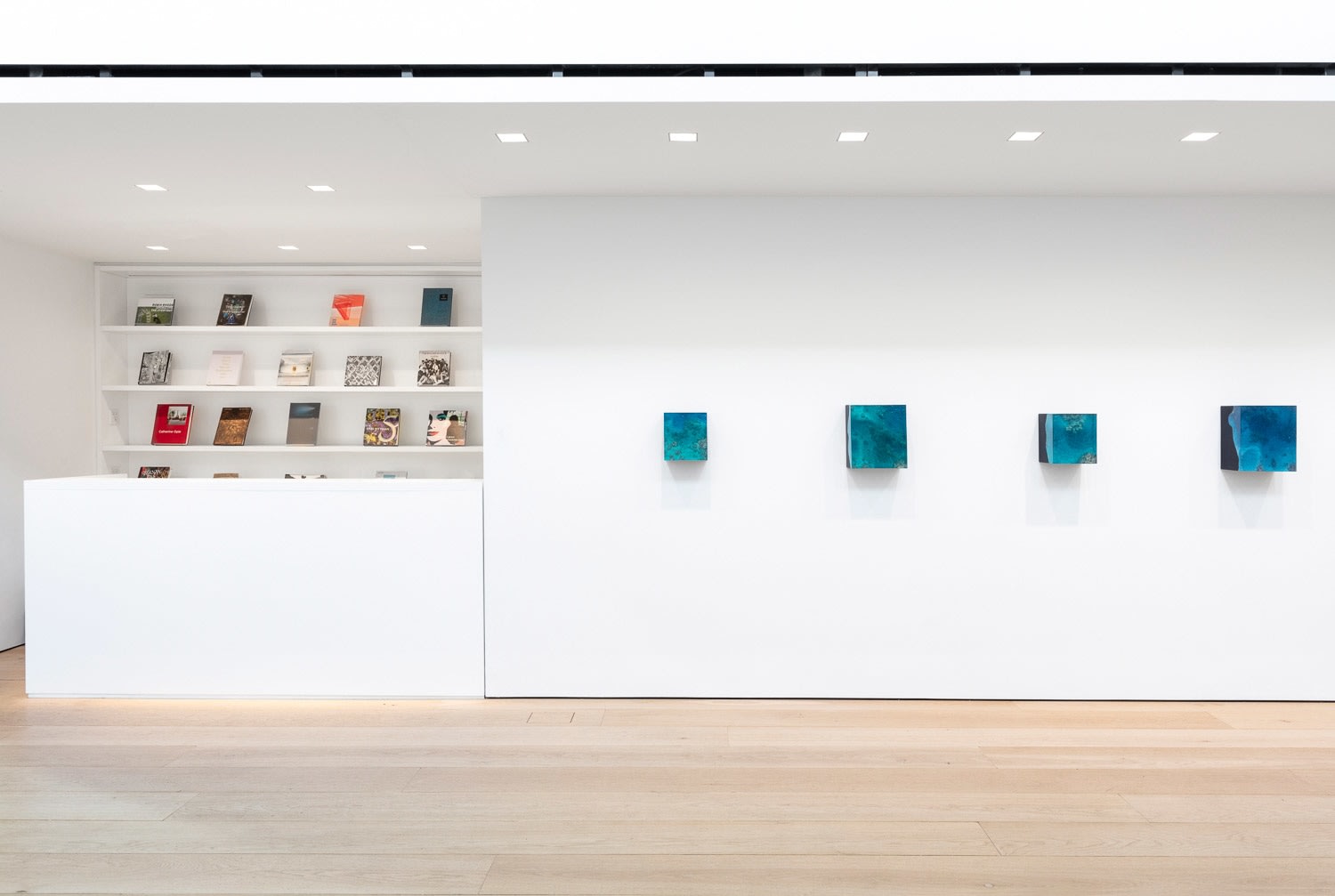 Ashley Bickerton: Seascapes at the End of History, Installation view, New York