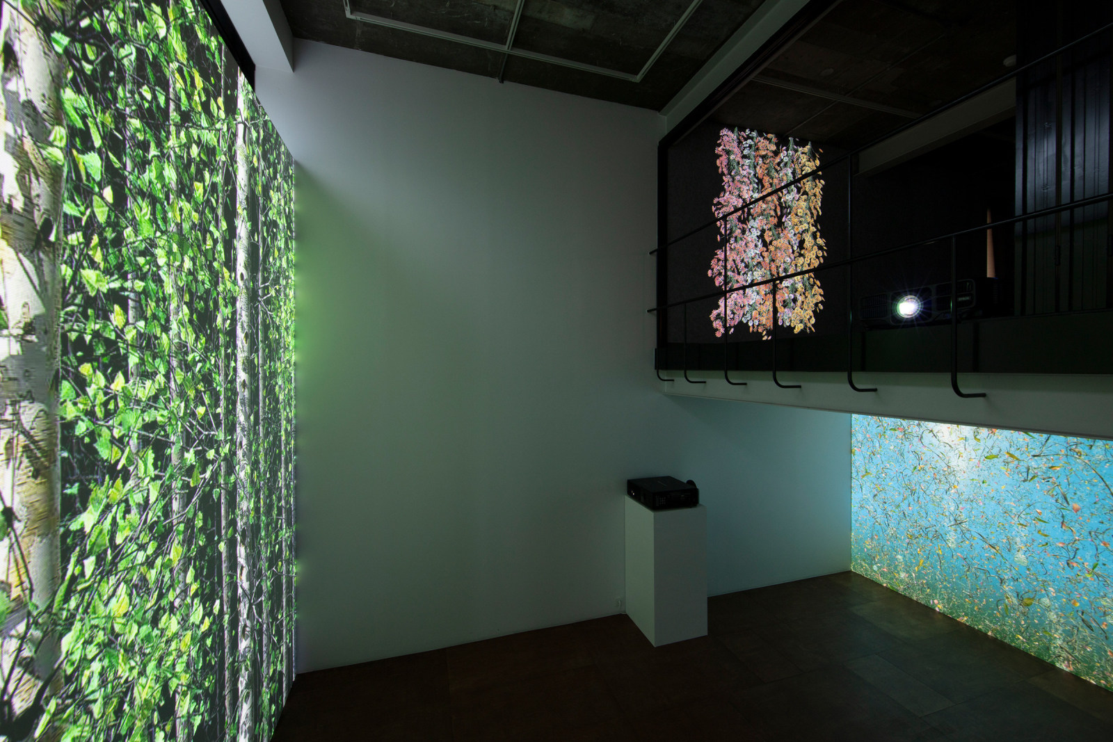 Jennifer Steinkamp, Souls, Installation view, Lehmann Maupin, Seoul, 2020