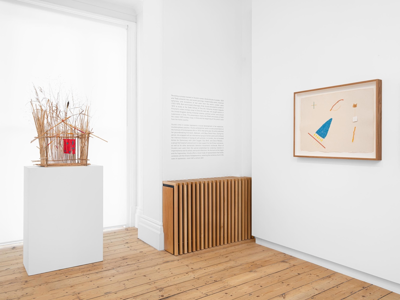 Cecilia Vicu&ntilde;a in London, 1972 and Today, Installation View
