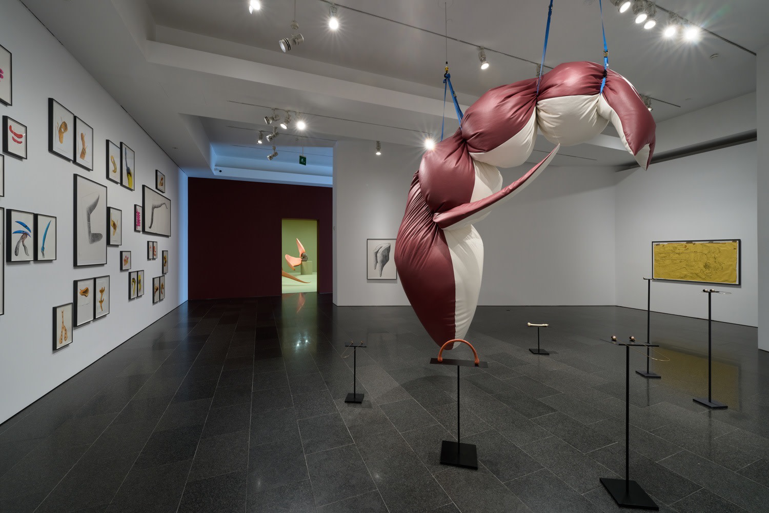 Teresa Solar Abboud: Bird Machine Dream, Installation view