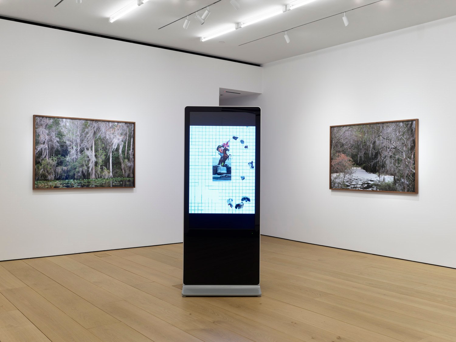 Fourth installation view of the exhibition Catherine Opie: Rhetorical Landscapes at Lehmann Maupin New York