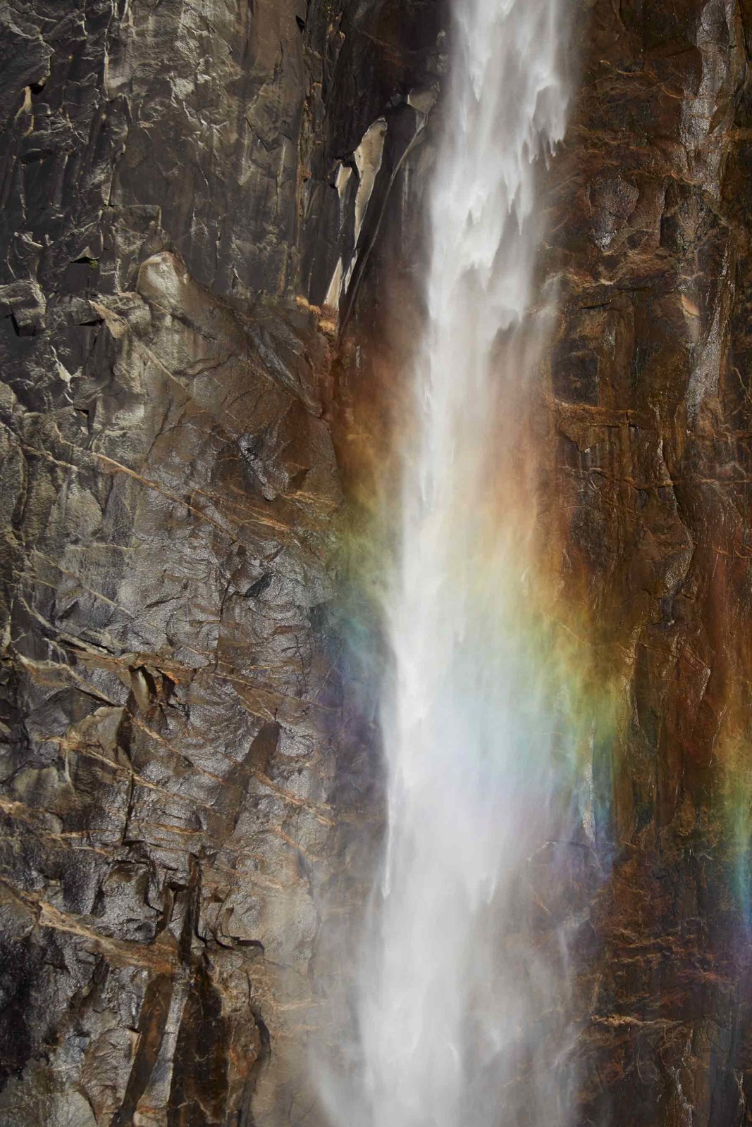 CATHERINE OPIE, Rainbow Falls, 2015
