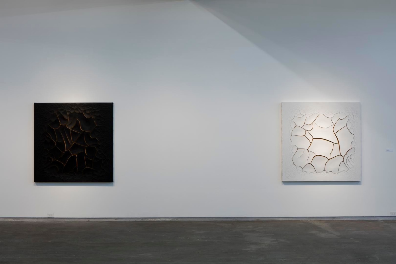  Photo: Kevin Todora. Courtesy the artist, Dallas Contemporary, Lehmann Maupin, New York and Hong Kong, and Galeria Fortes Vila&ccedil;a