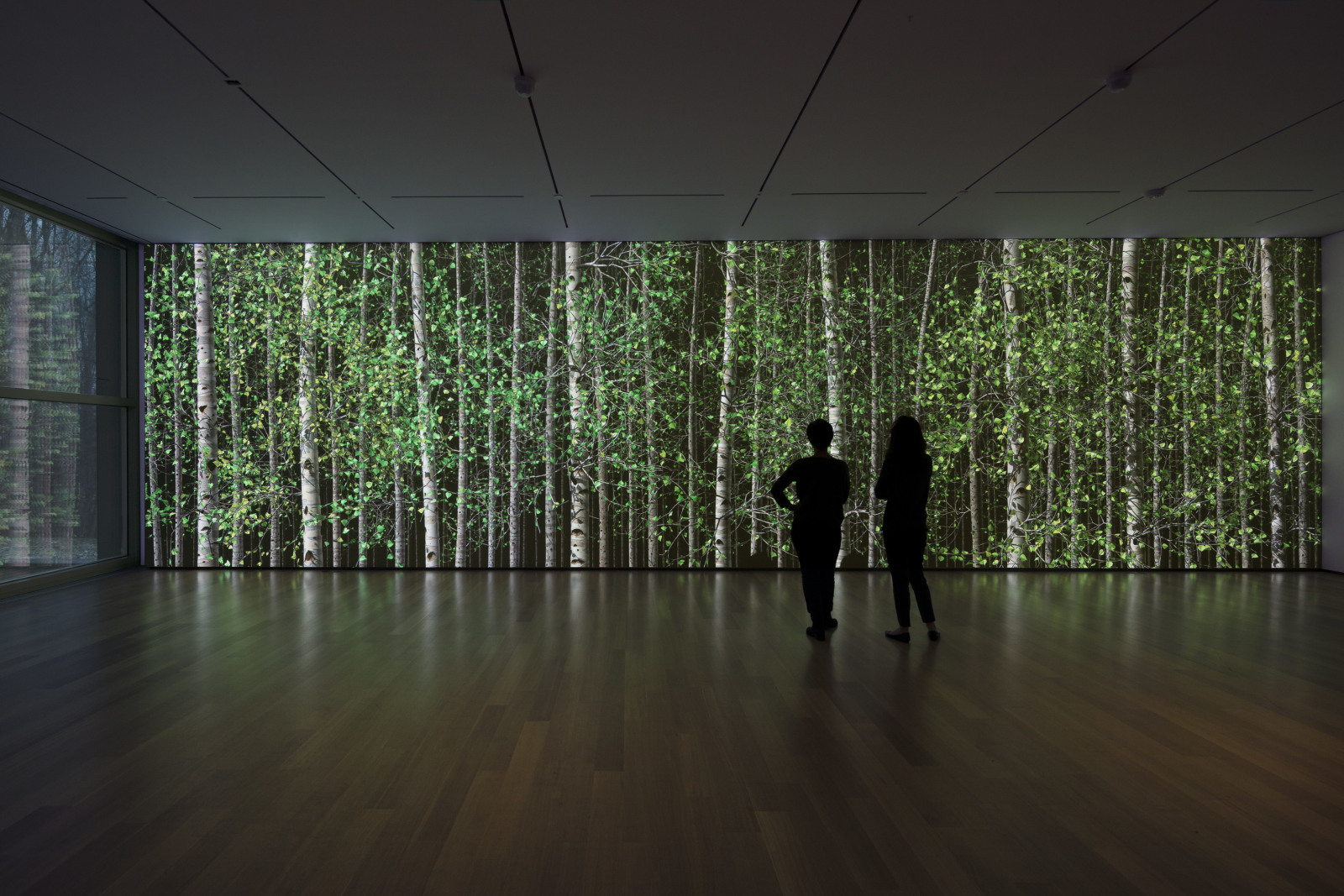 Jennifer Steinkamp:&nbsp;Blind Eye, Installation view, The Clark Art Institute, Williamstown, MA