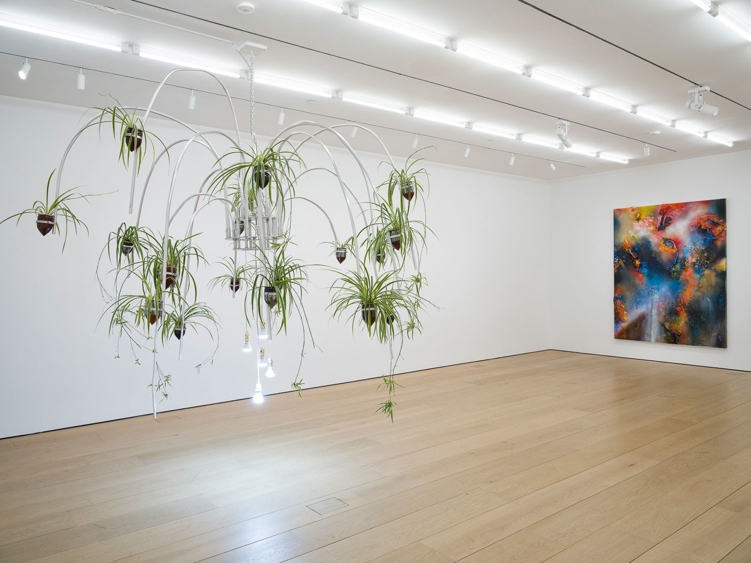 Eyes of the Skin, Installation View, New York