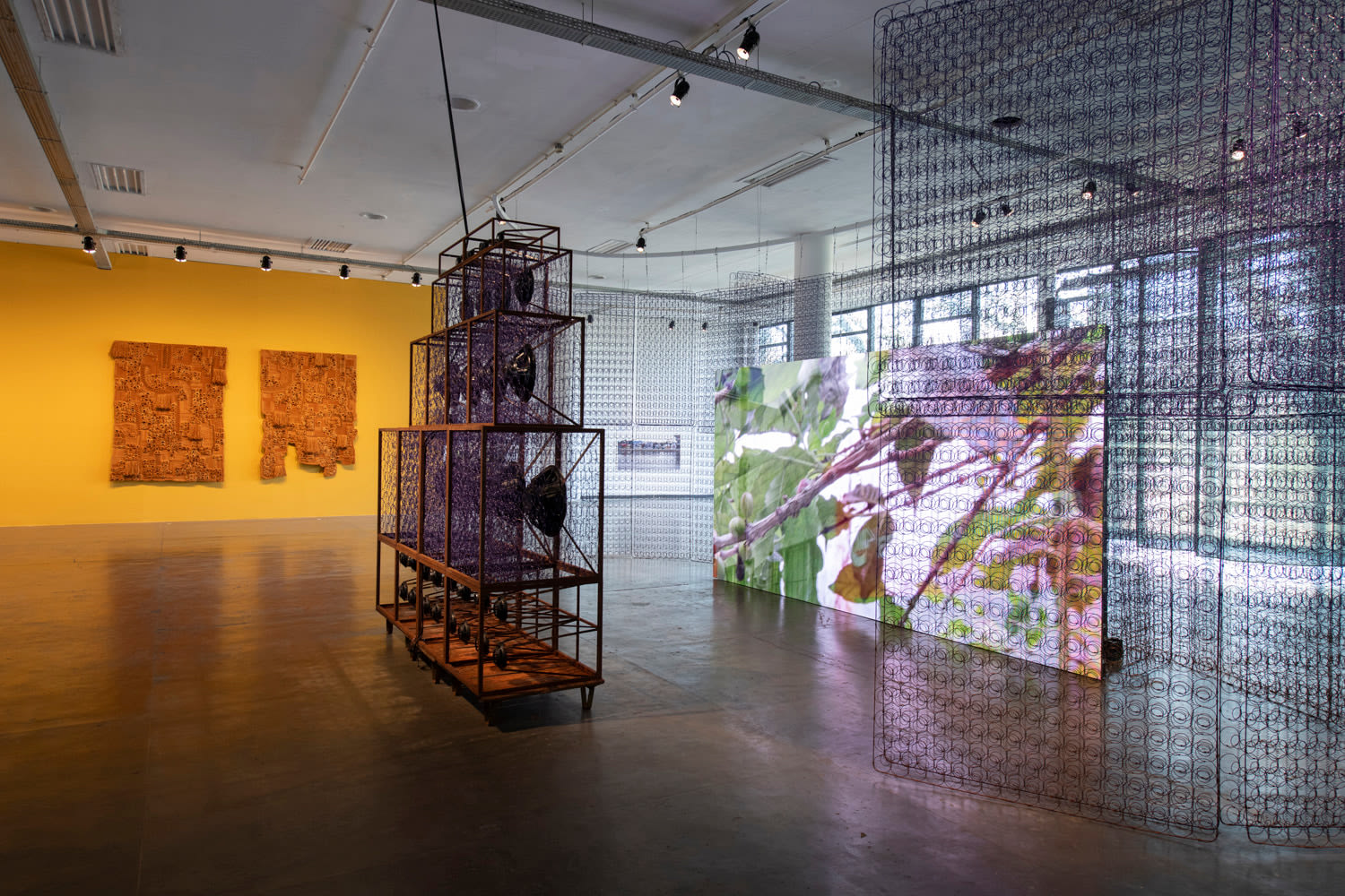 NARI WARD, Installation view