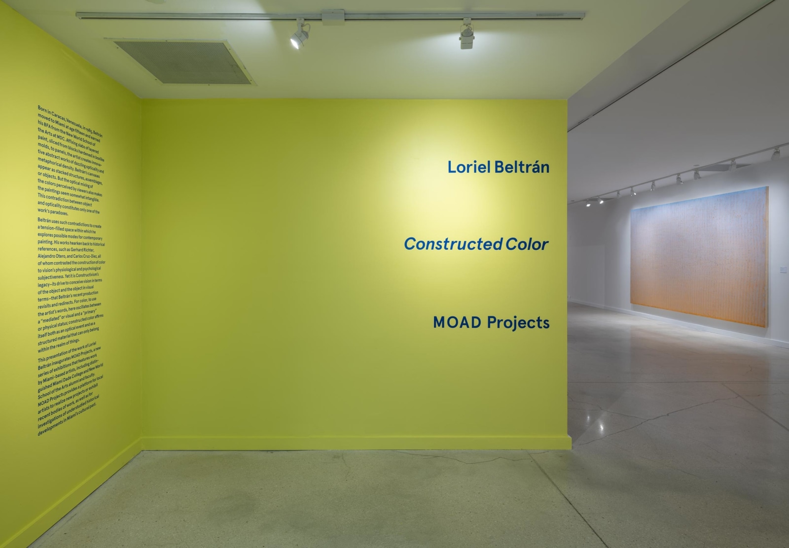 Loriel Beltr&aacute;n: Constructed Color, Installation view