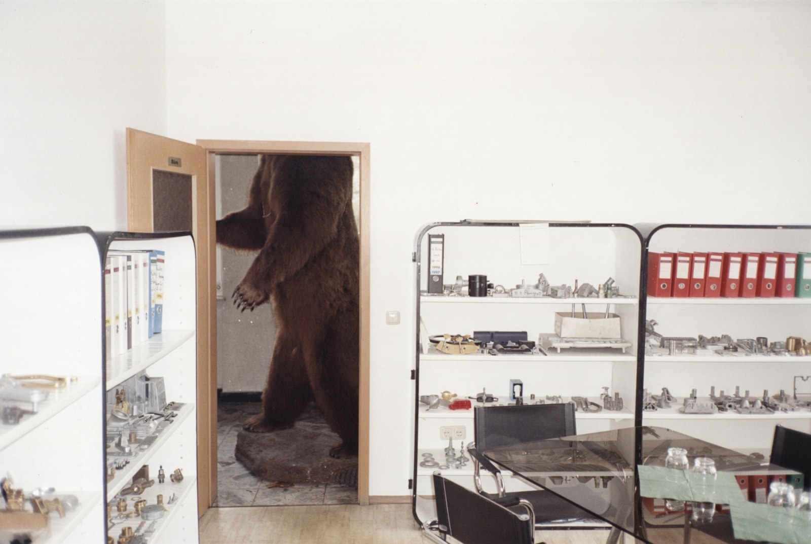 JUERGEN TELLER, Brown Bear, Bubenreuth, Germany, 2002
