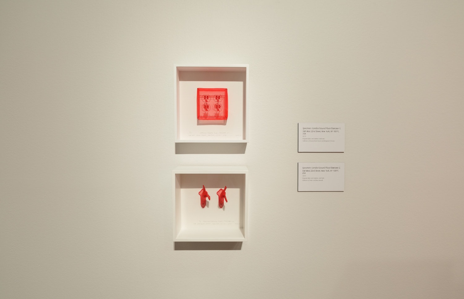 DO HO SUH, Installation view, Frist Art Museum,&nbsp;Do Ho Suh: Specimens, Oct. 12, 2018 - Jan. 6, 2019