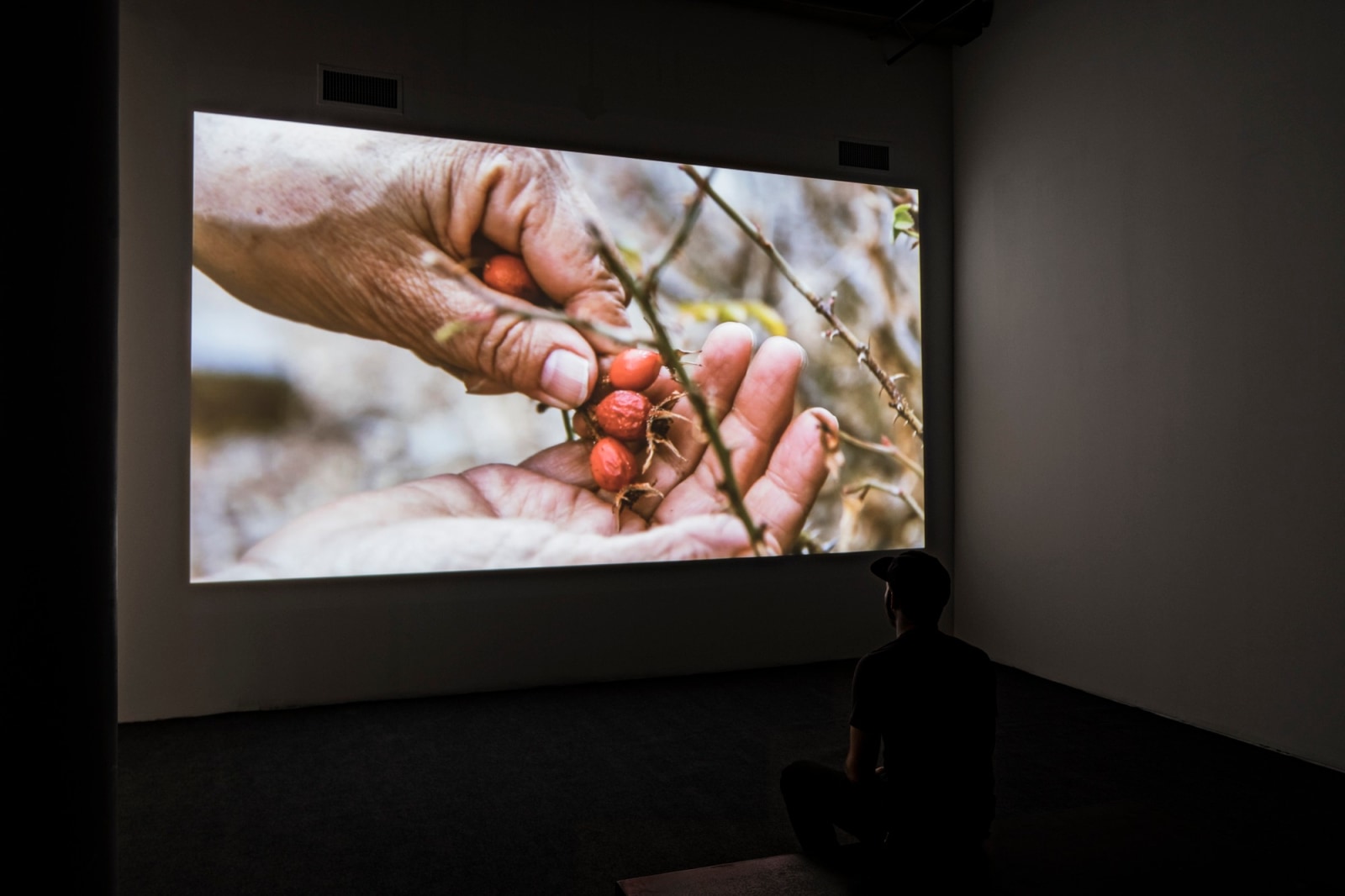 Cecilia Vicu&ntilde;a: About to Happen, Installation view,&nbsp;Berkeley Art Museum and Pacific Film Archive, University of California