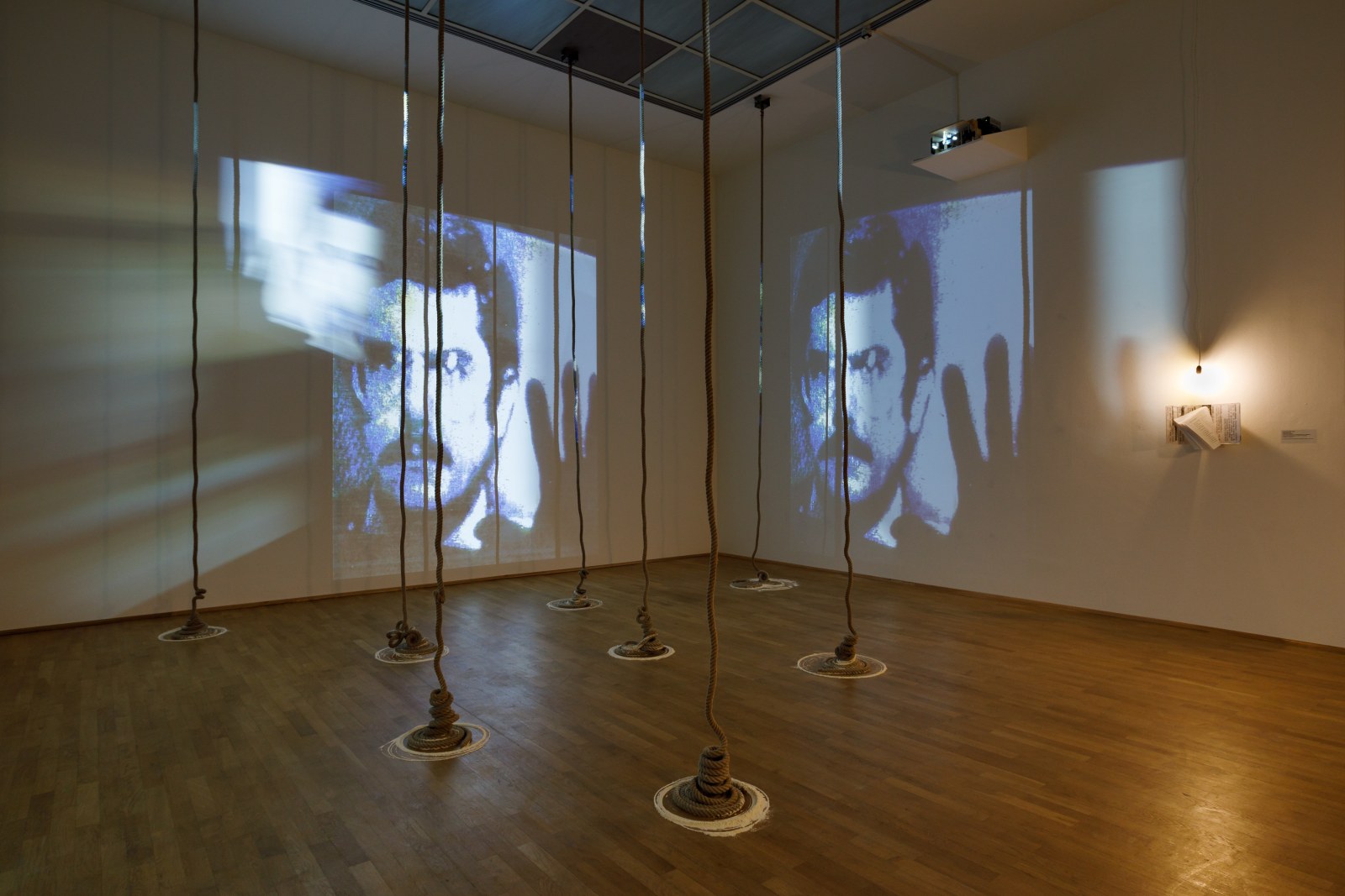 Carolee Schneemann - Kinetic Painting - Exhibitions - PPOW