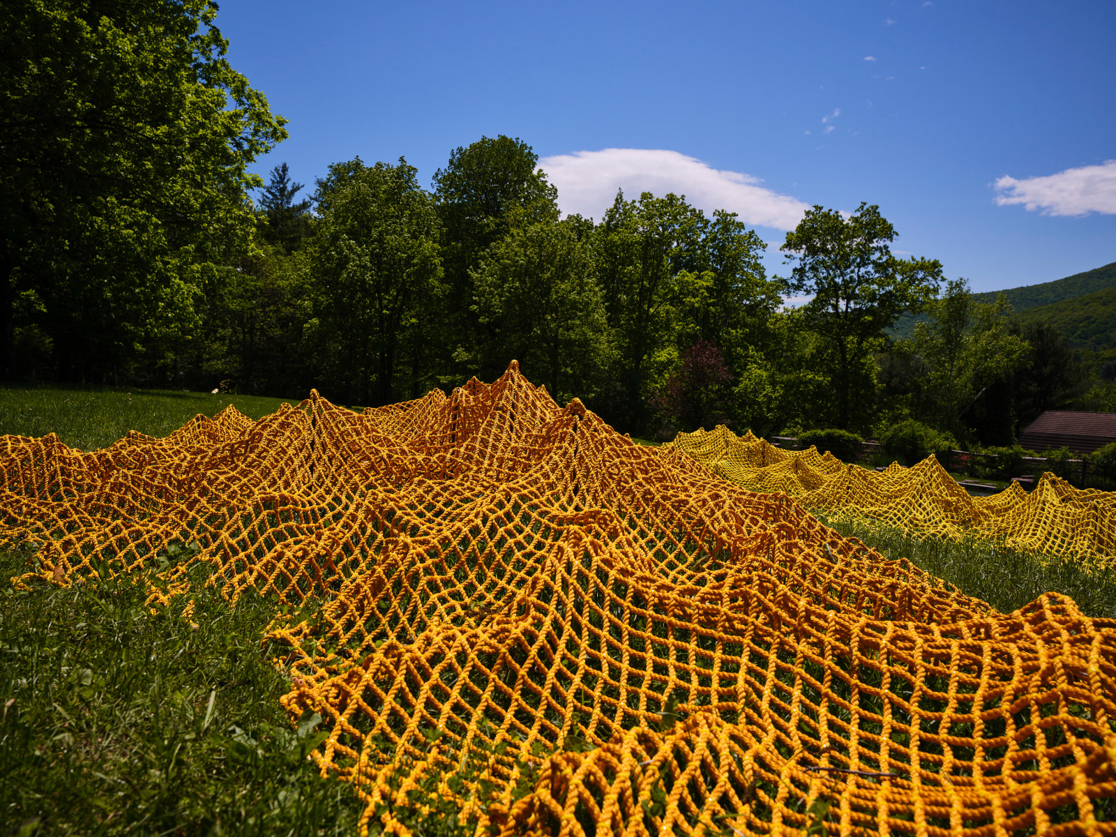 River Valley Arts Collective: Rachel Mica Weiss - Programs - Al Held Foundation