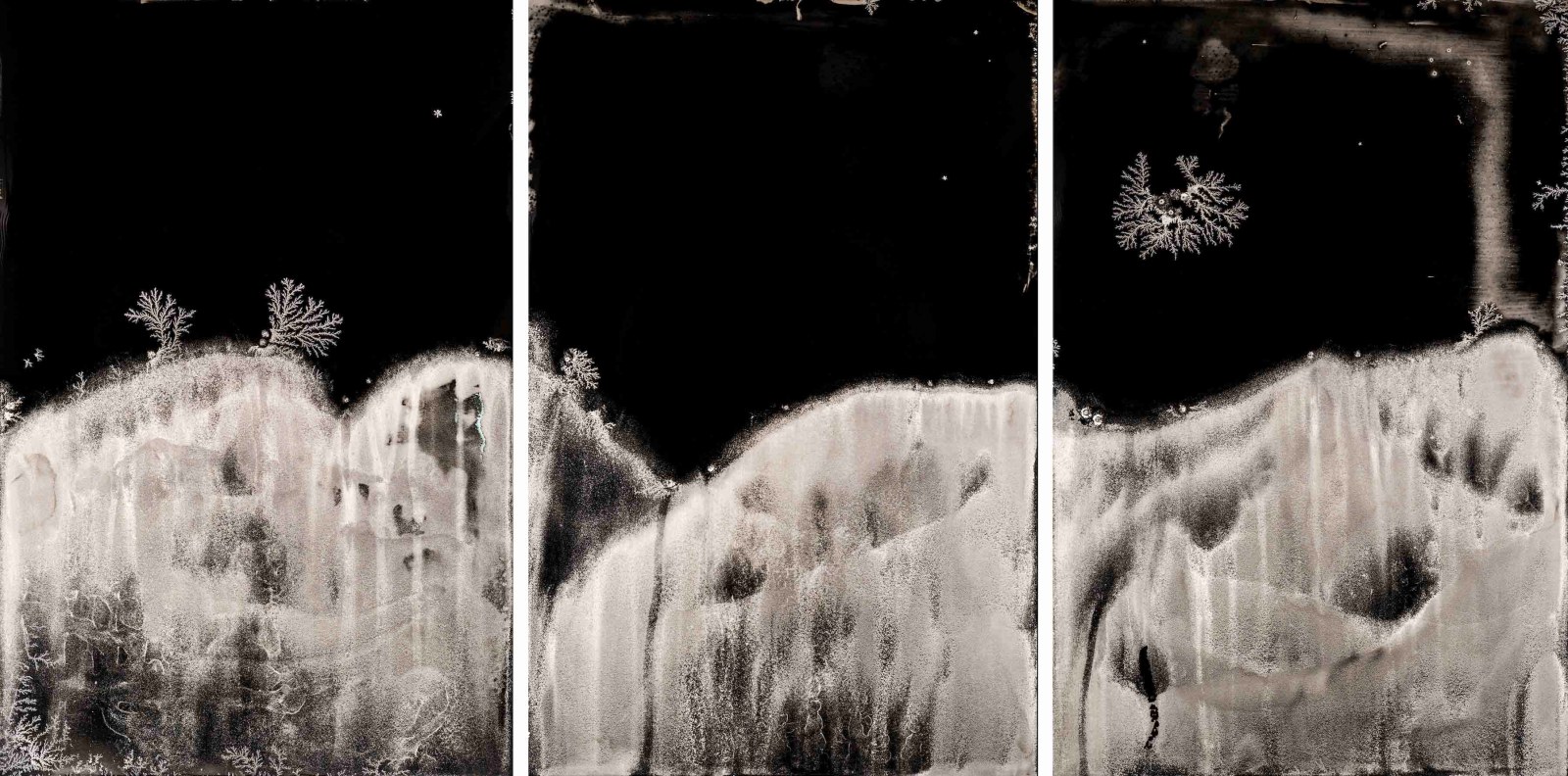 A triptych shows black and white abstract shapes on this tin type image made from old photographic processes.