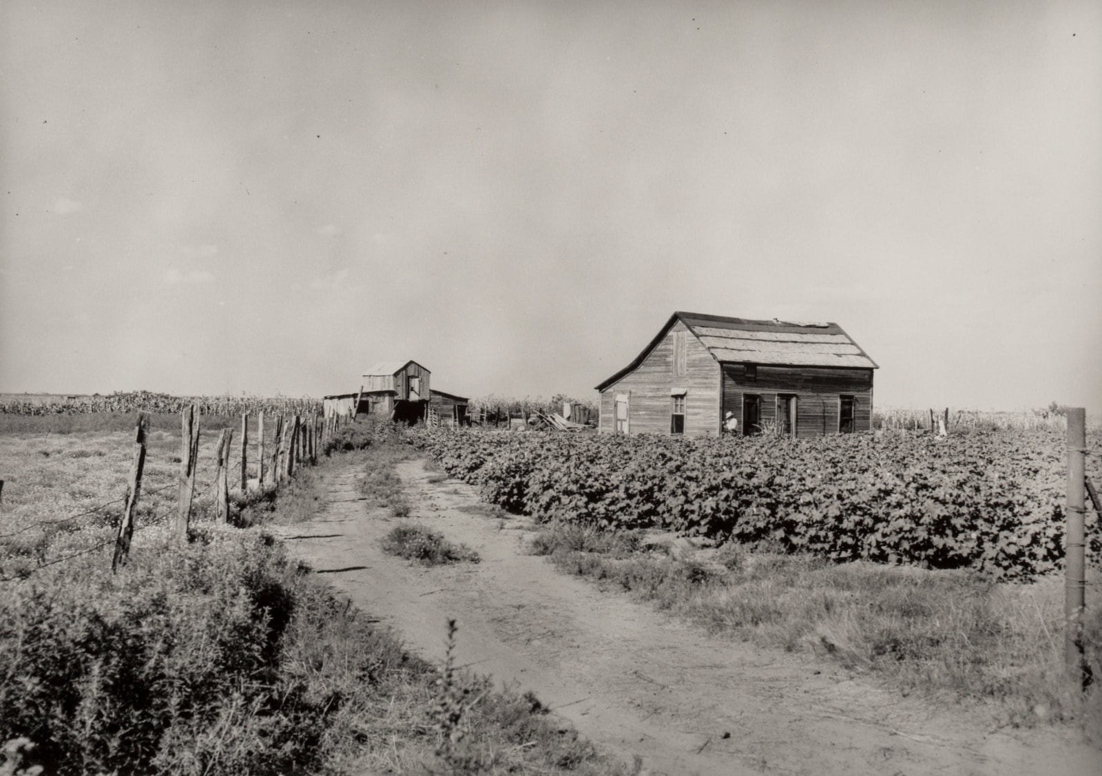 Two small wooden houses on a dusty farm photographed in black and white