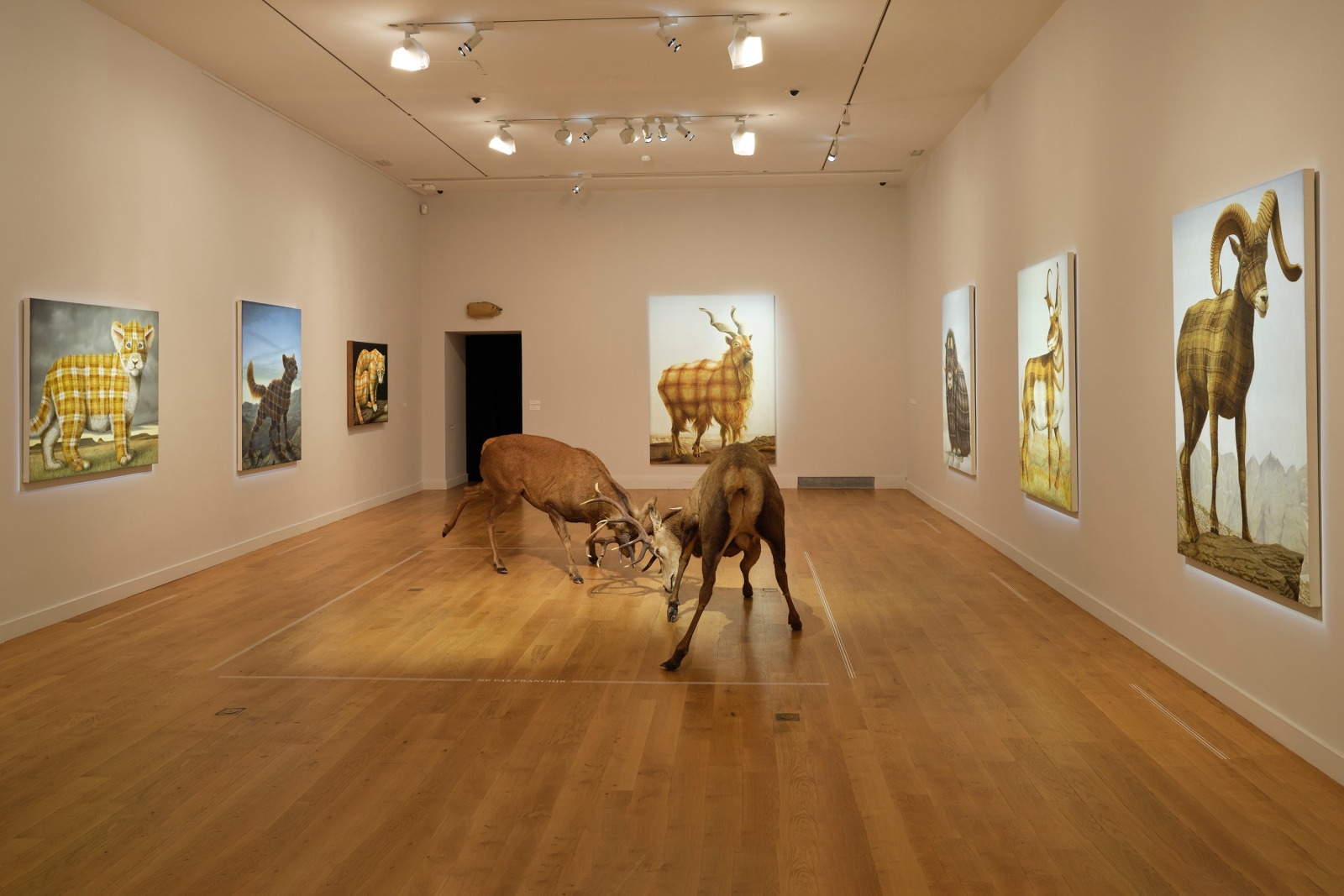 Sean Landers - Animal Kingdom - Viewing Room - Petzel Gallery