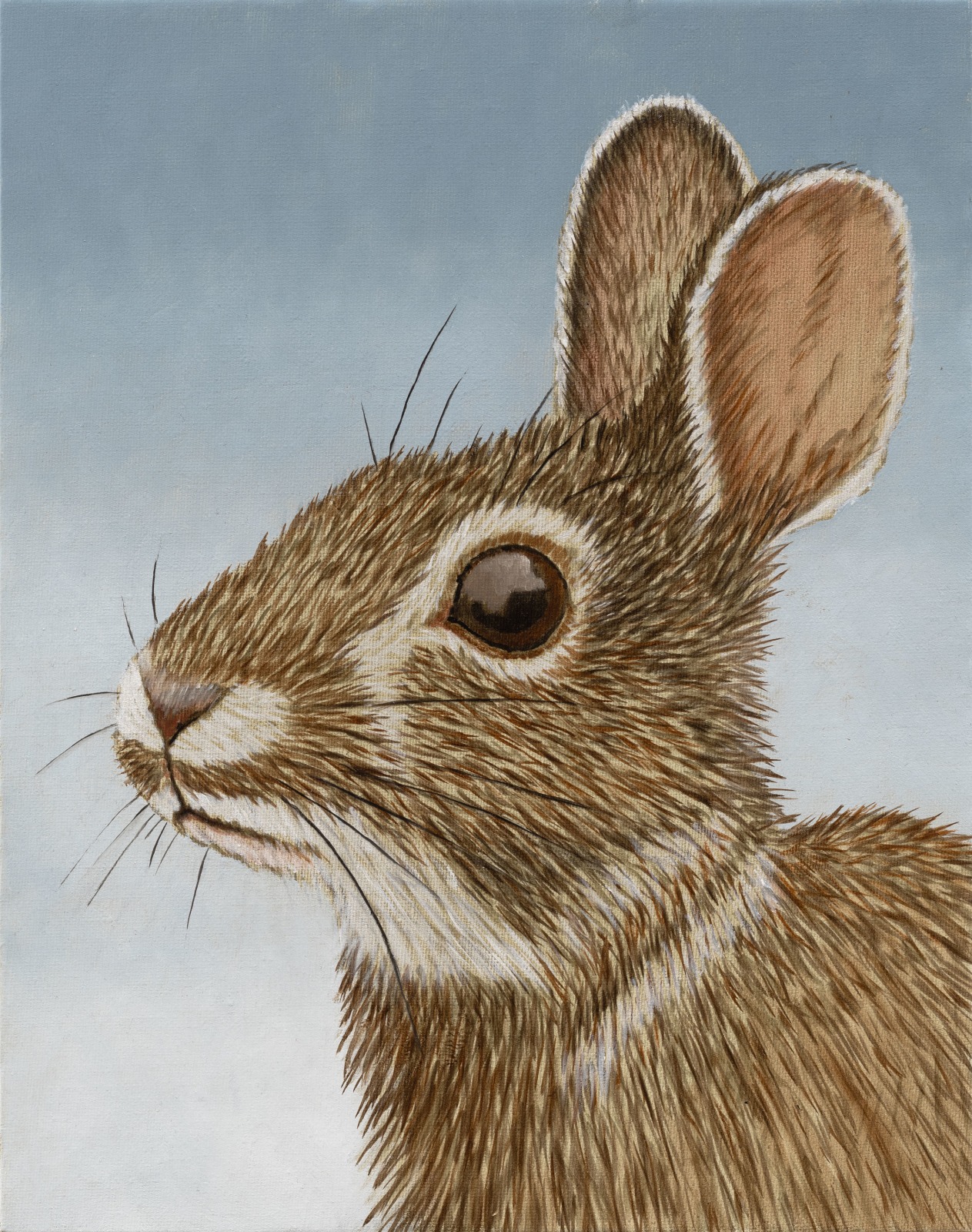Sean Landers, Untitled Rabbit #8