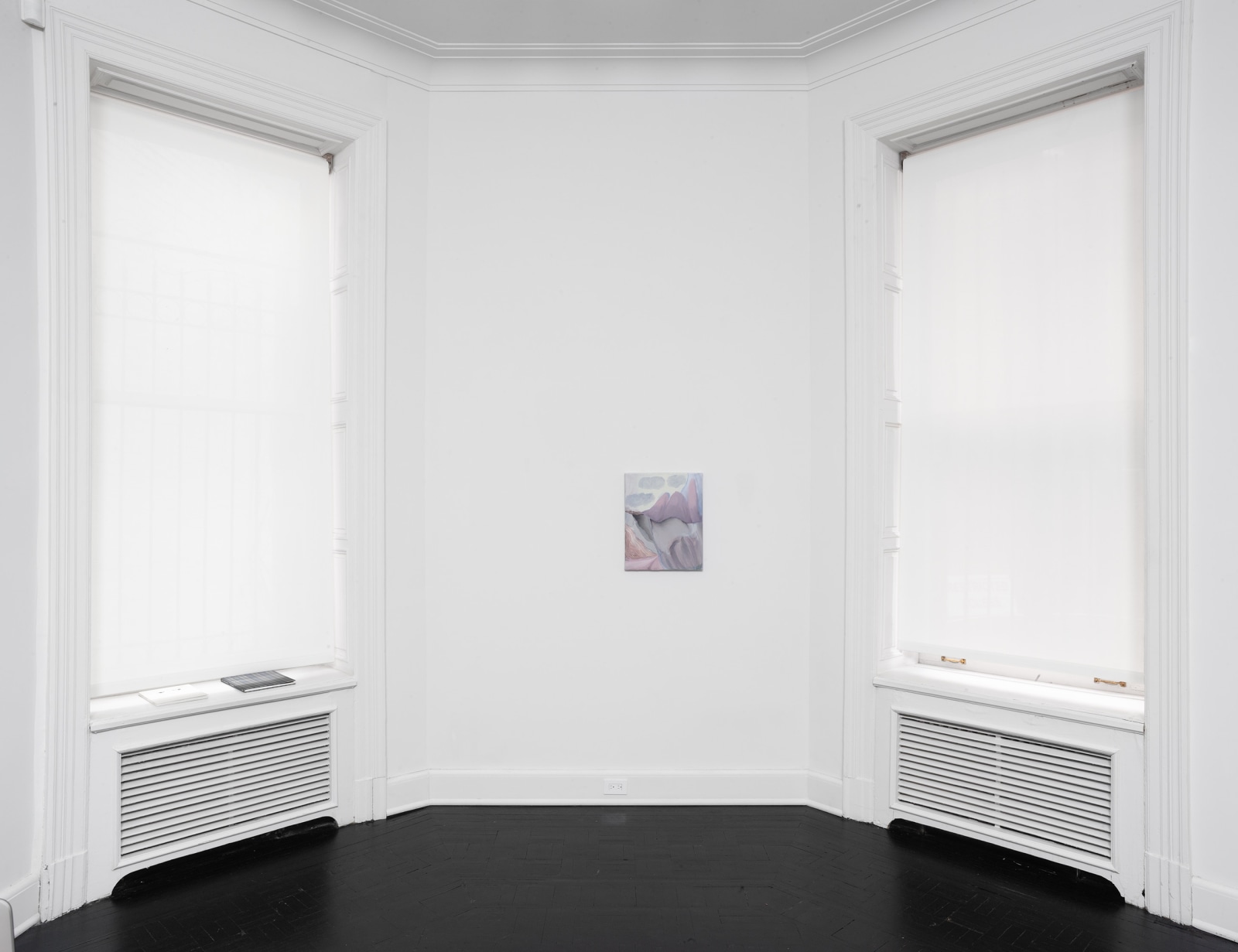Installation view, Rezi van Lankveld, Soft Sun, Petzel, 2022