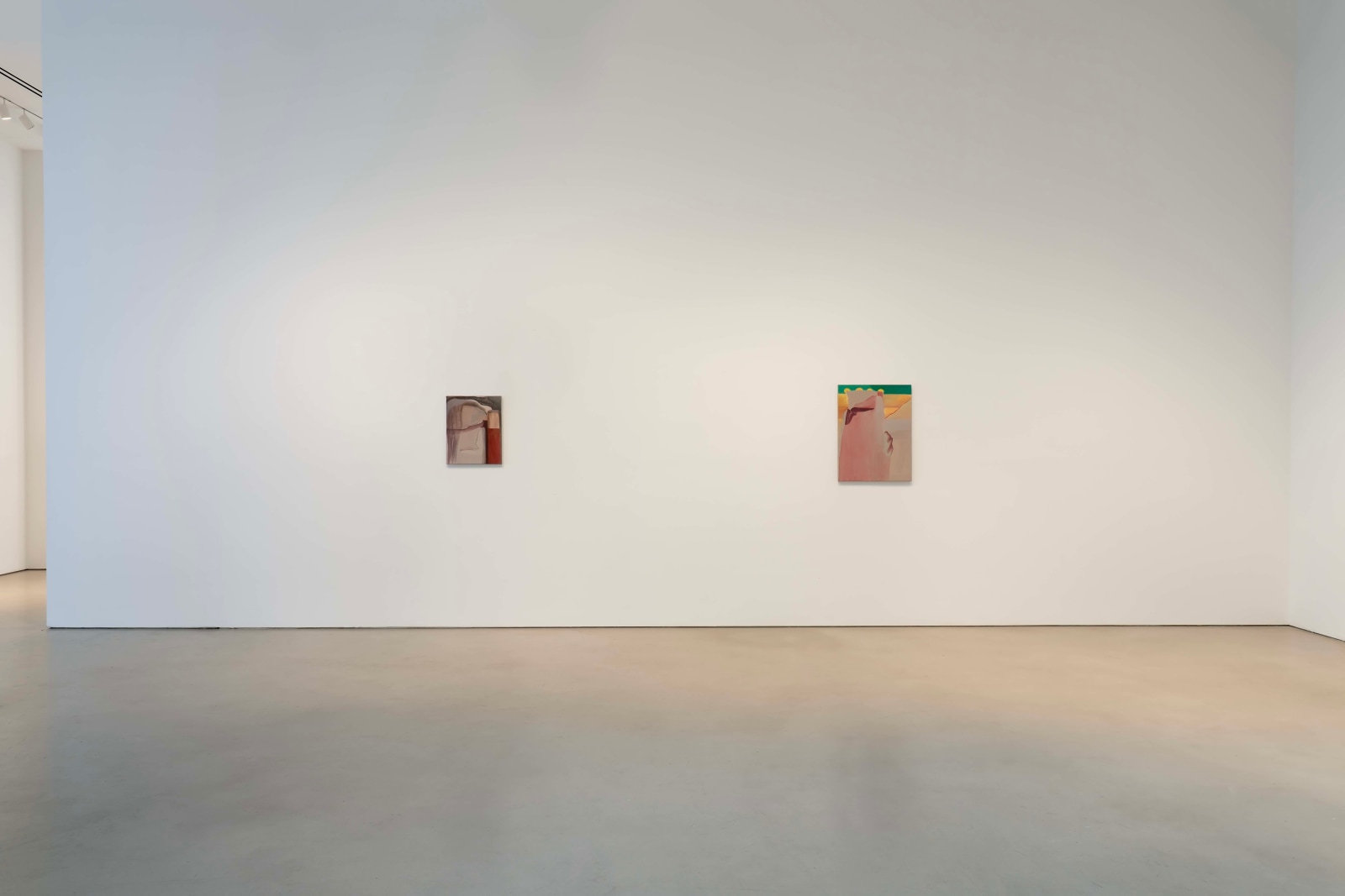 Installation view, Rezi van Lankveld,&nbsp;Premonitions,&nbsp;Petzel, 2025.