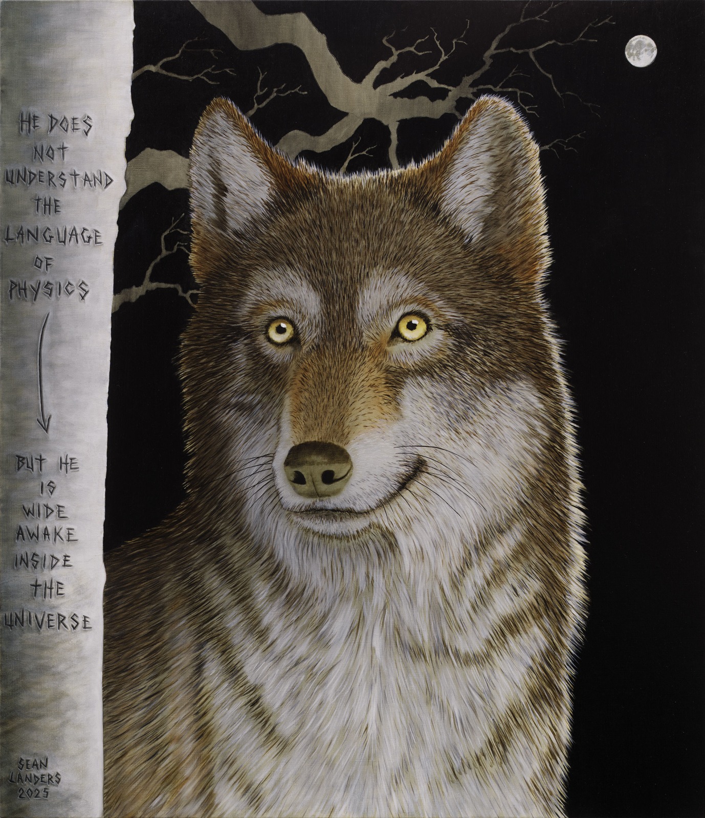 Sean Landers, Wide Awake