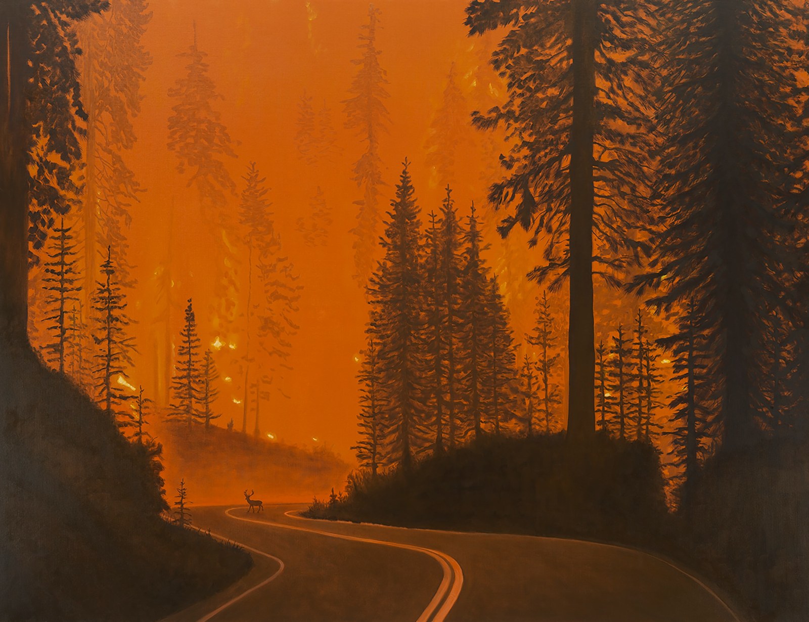 Sean Landers, Wildfire (Mendocino National Forest)
