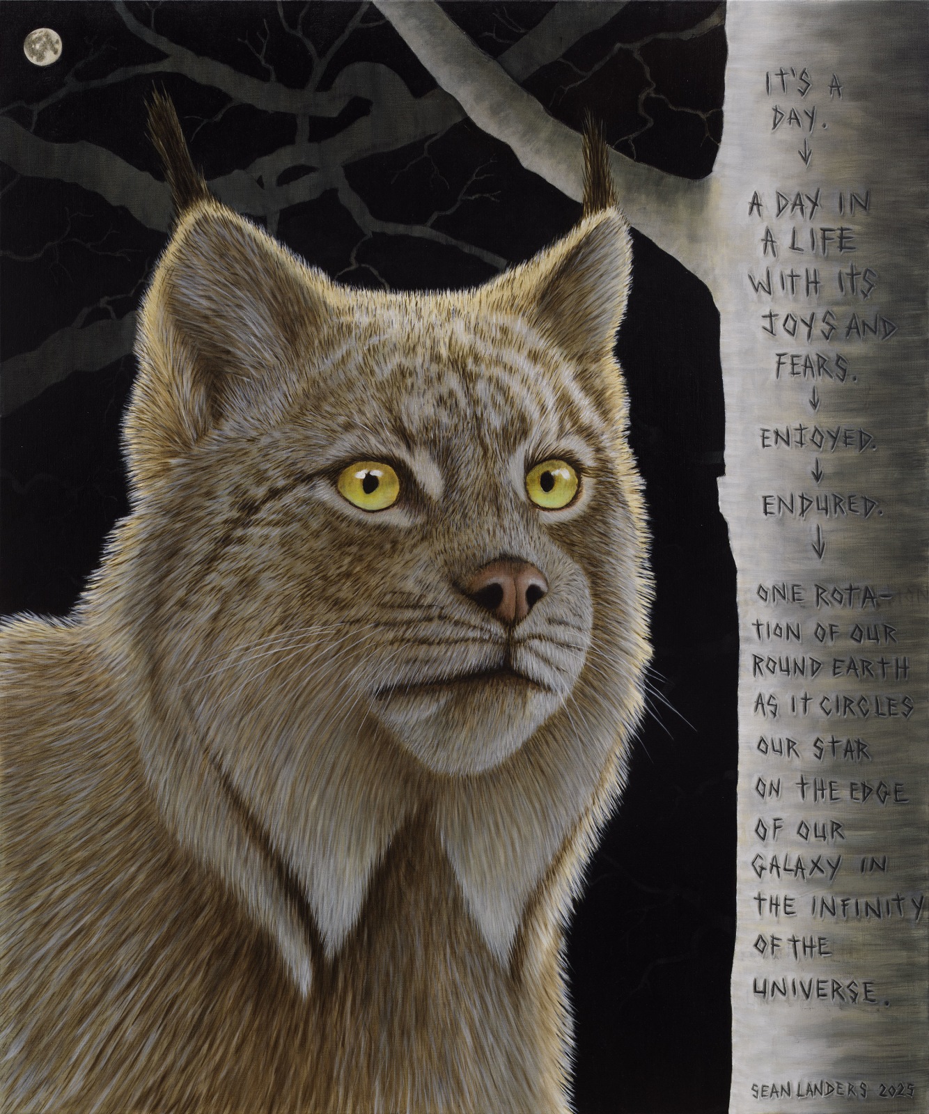 Sean Landers, Joys and Fears