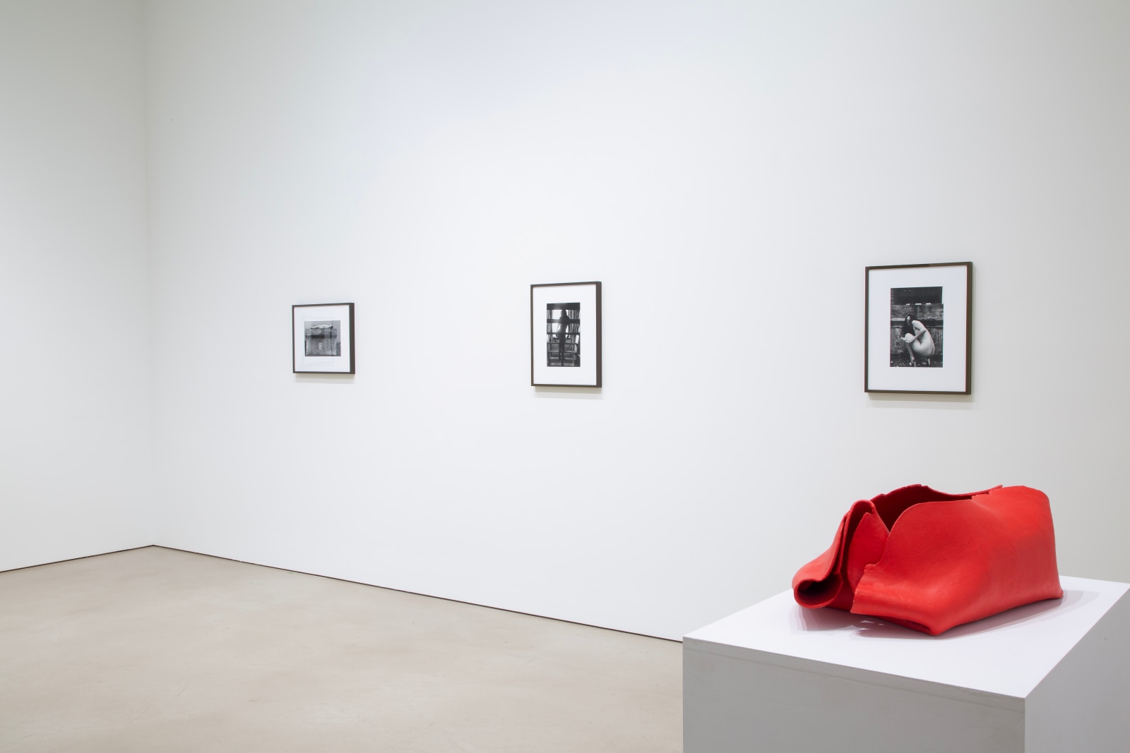 Installation view, The Viewing Room: Hannah Wilke,&nbsp;Petzel, 2025. Photos by Meg Symanow. Courtesy of the artist and Petzel, New York.