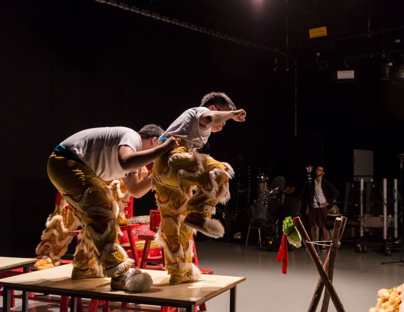 Muted Situation #2: Muted Lion Dance, 2014