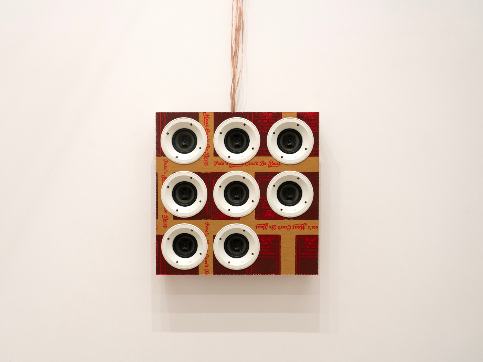 Installation view, Stephen Prina: English for Foreigners (abridged: the sequel), Petzel, 2025.