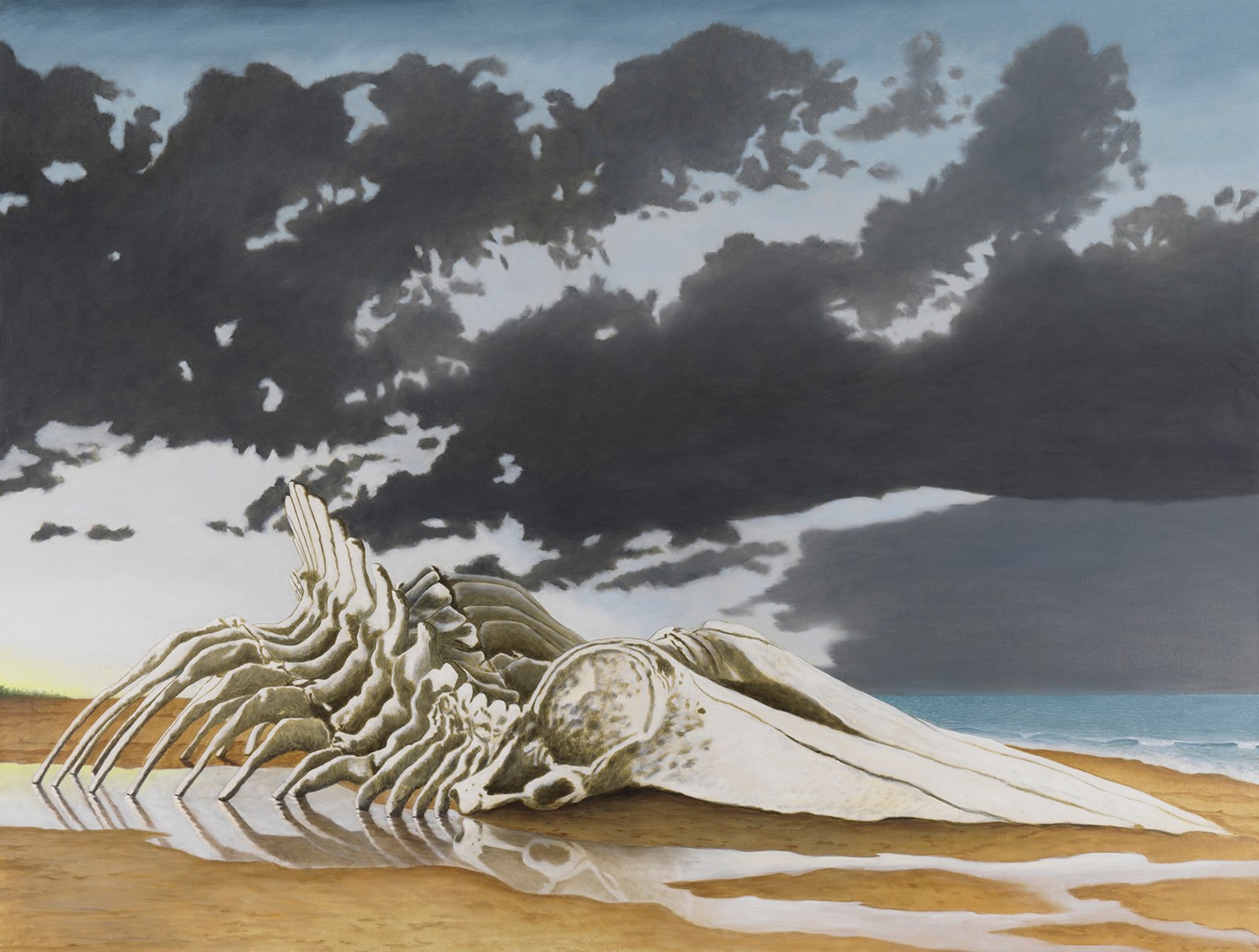 Sean Landers, Sperm Whale Skeleton II