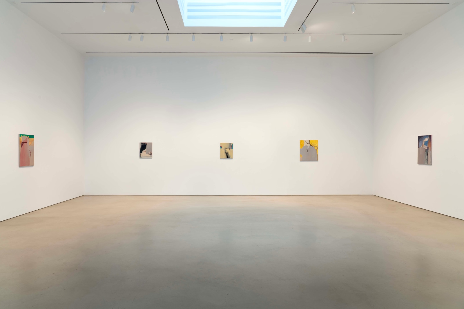 Installation view, Rezi van Lankveld,&nbsp;Premonitions,&nbsp;Petzel, 2025.