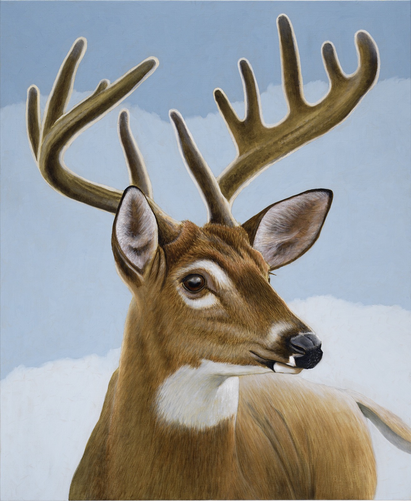 Sean Landers, Whitetail Deer, 2022