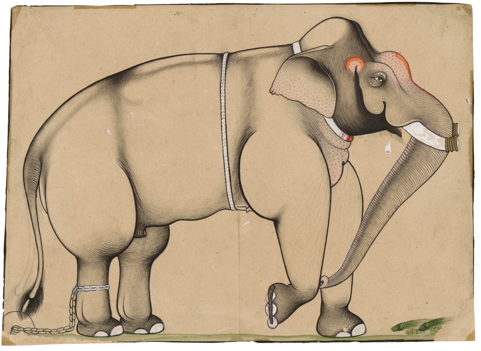 With bold curvilinear outlines and deft wispy shading, the artist captures the vigor of this prized elephant. 