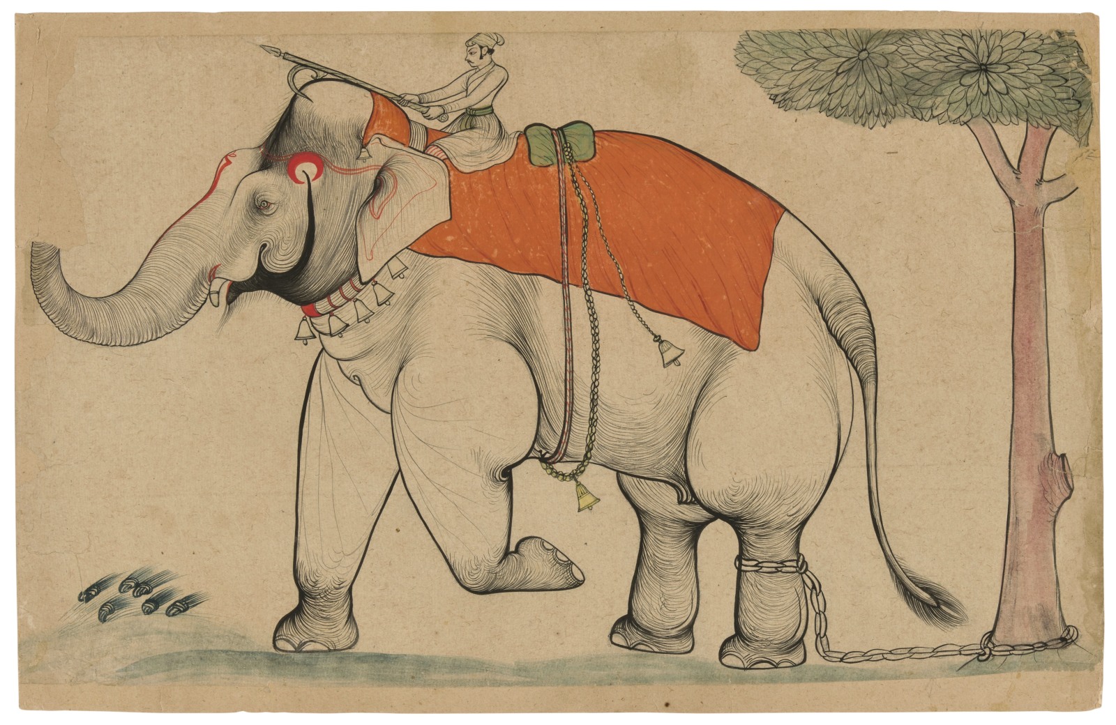 Although shackled to the tree, the elephant appears very excited, with his front left leg raised and his red-rimmed eye keenly staring ahead