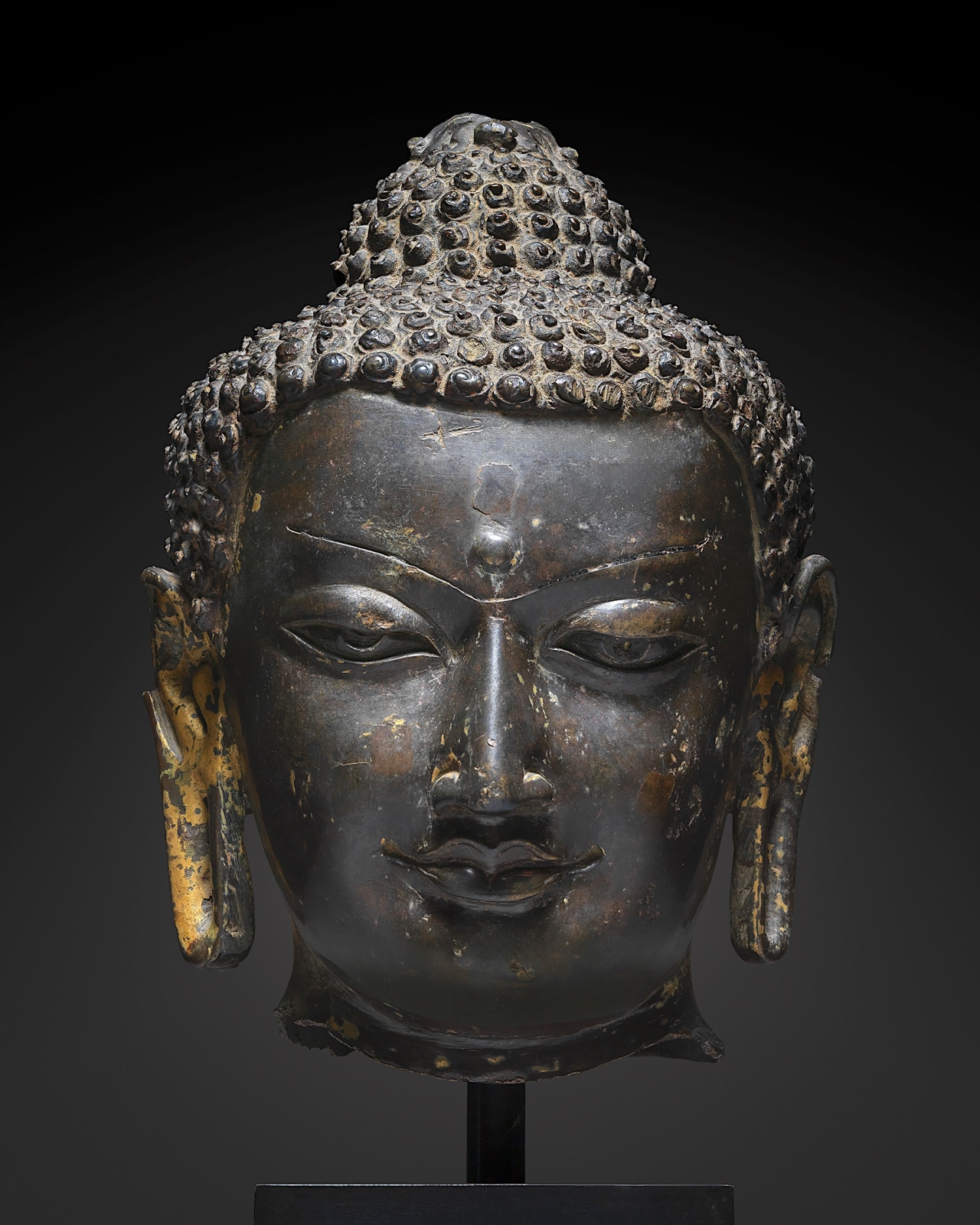 Head of Buddha - Eastern India, Bihar - Artworks-Items - Carlton Rochell