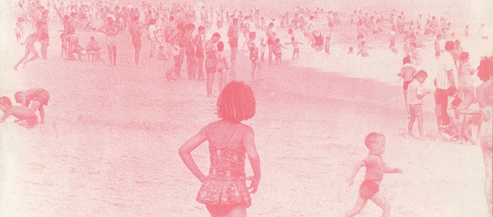 Summer Selections
