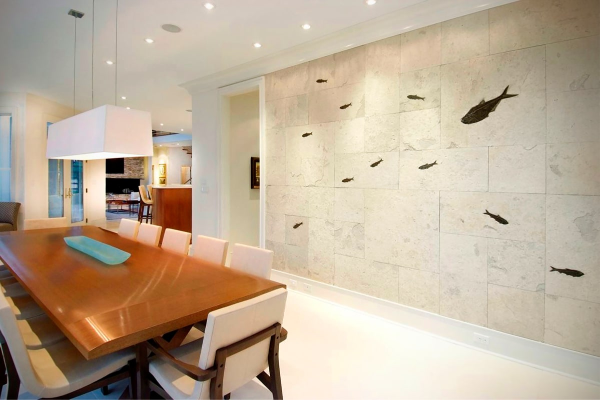 Living room wall with fossil fish tiles