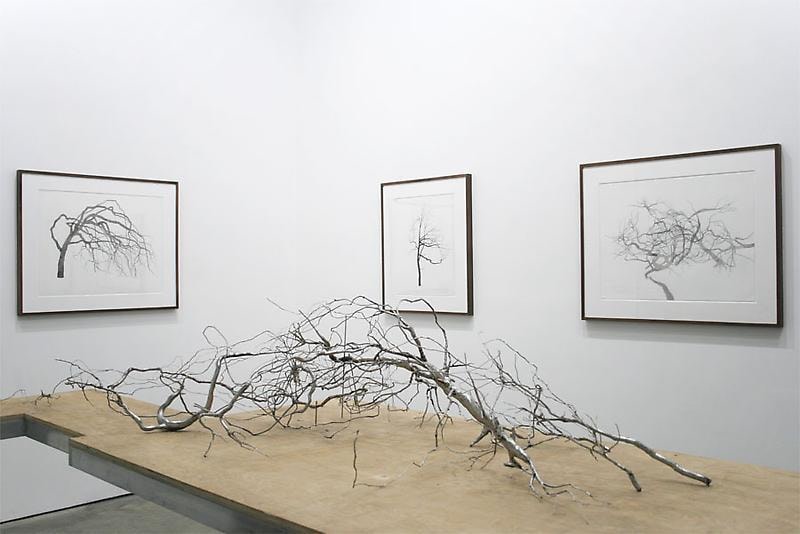 Roxy Paine - Dendroid Drawings and Maquettes - Exhibitions - James Cohan